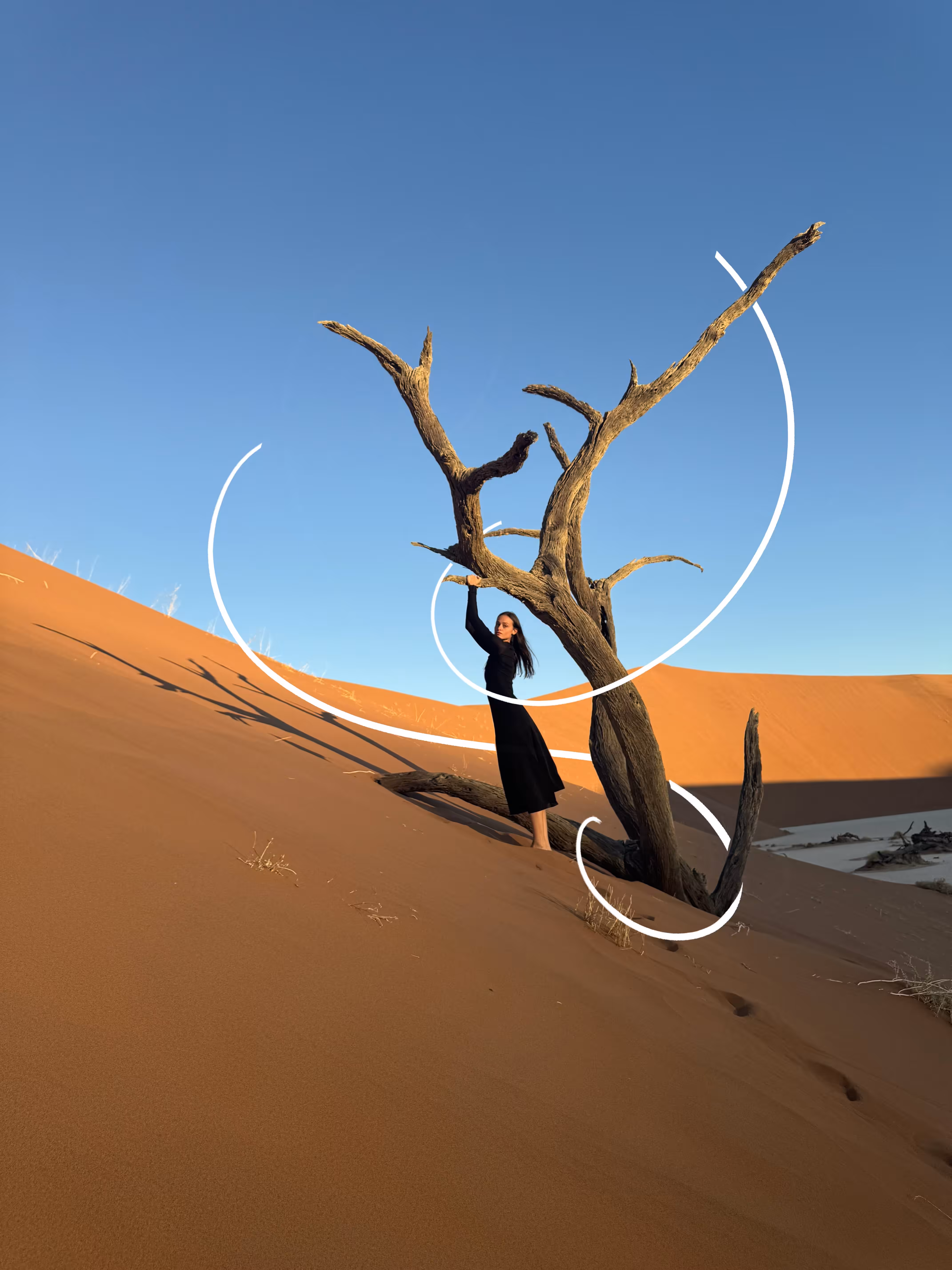 Deadvlei Dusk