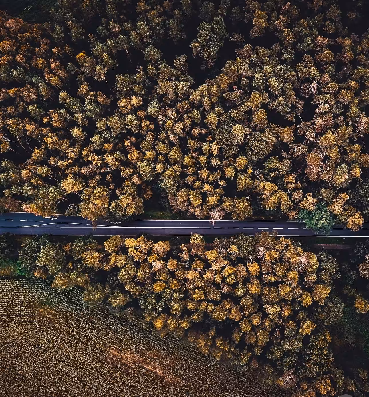 Drone view