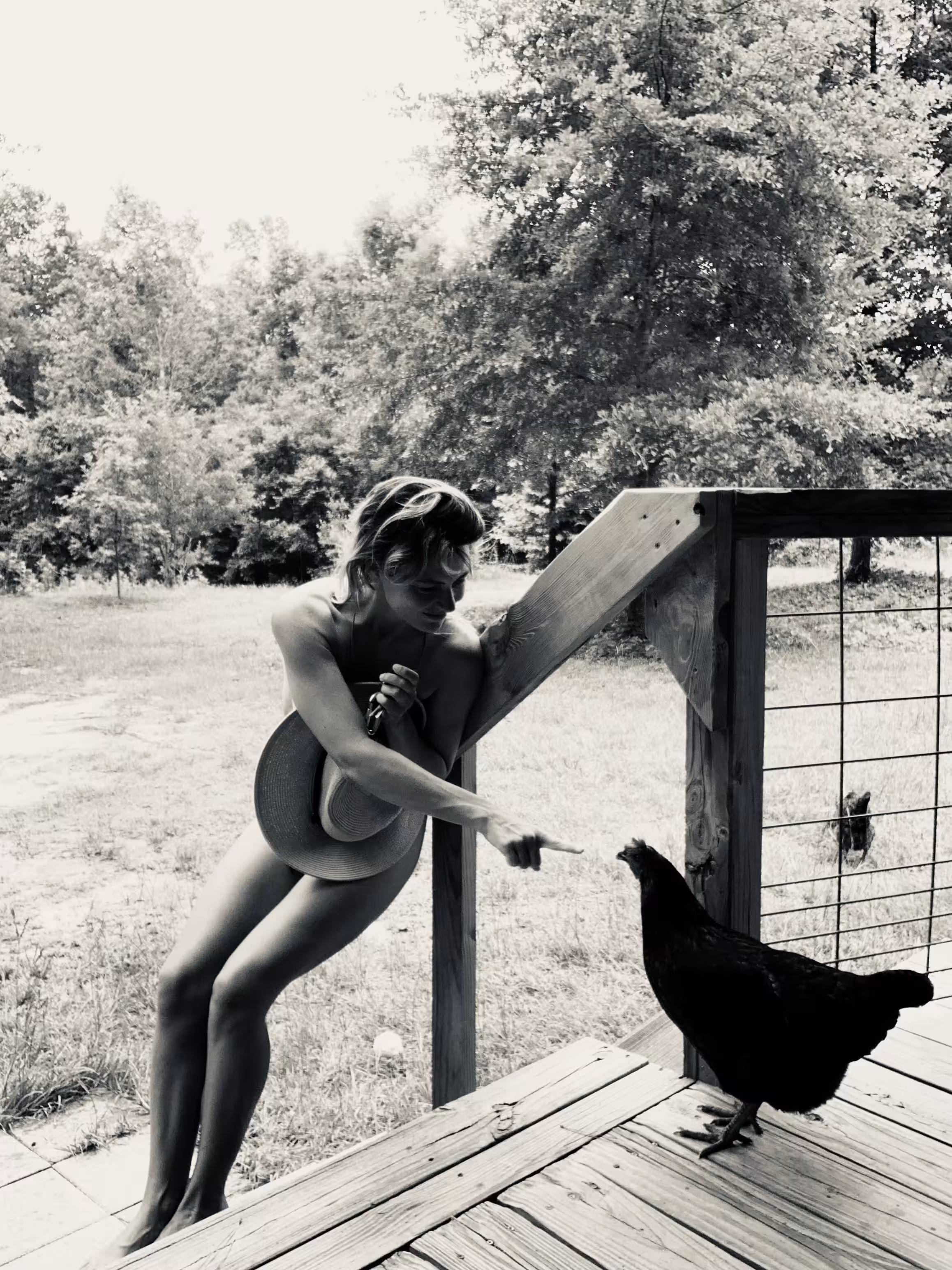 Mesmerizing Hen