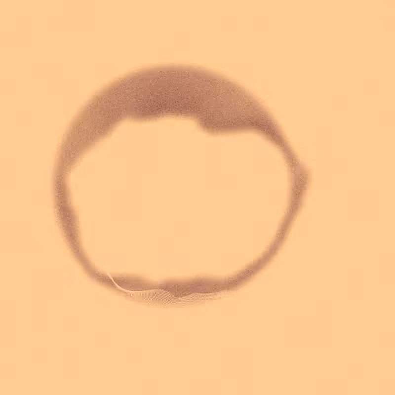 Tree Rings #178