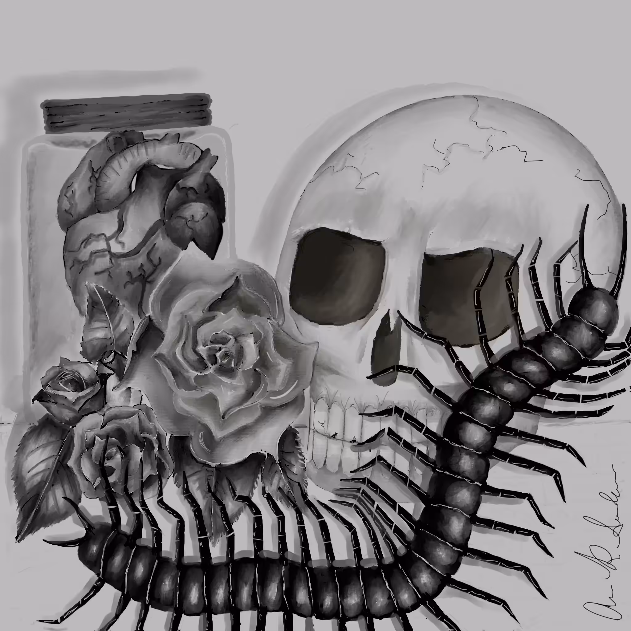 Centipede skull