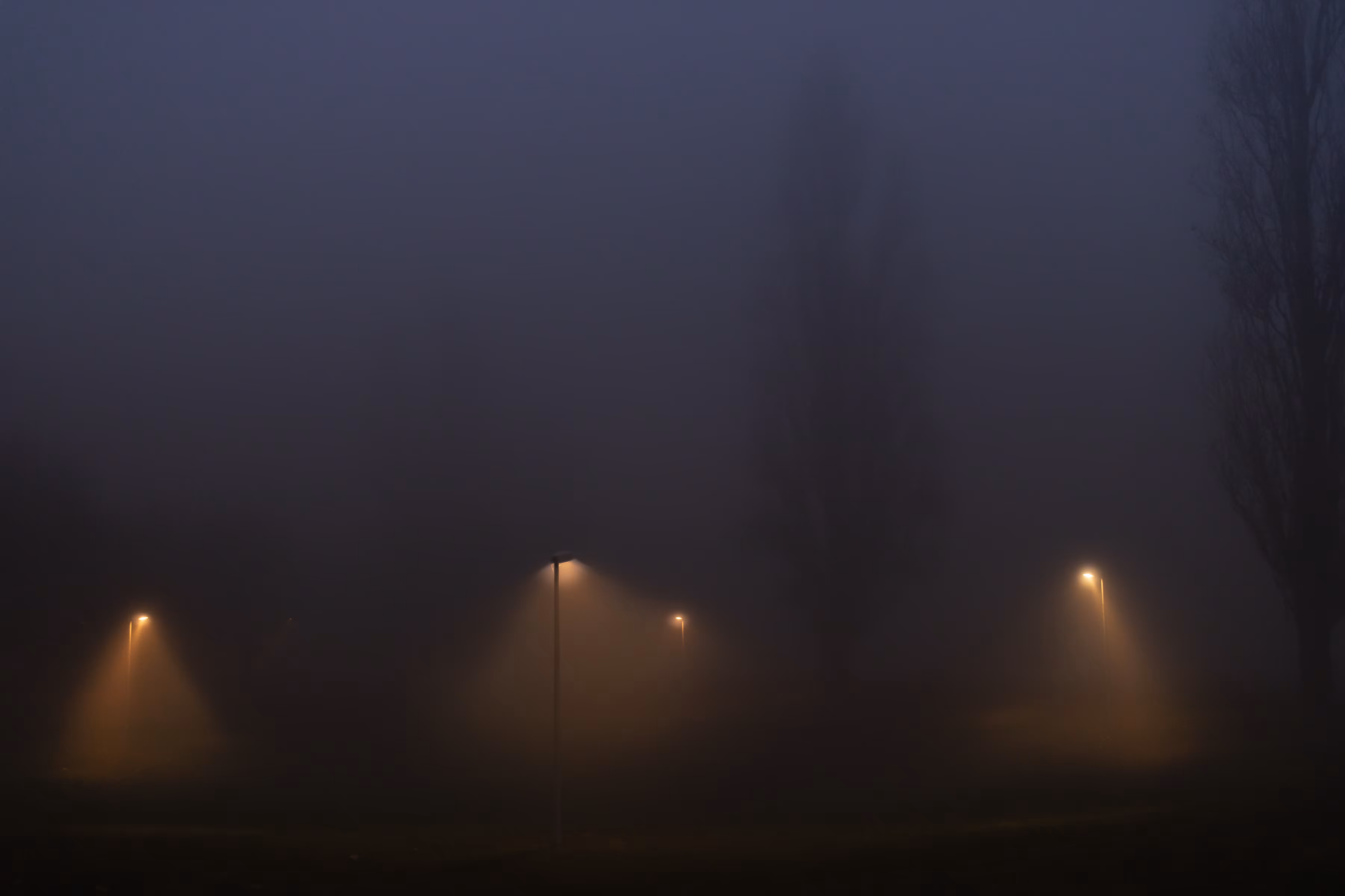 Nebbia 2
