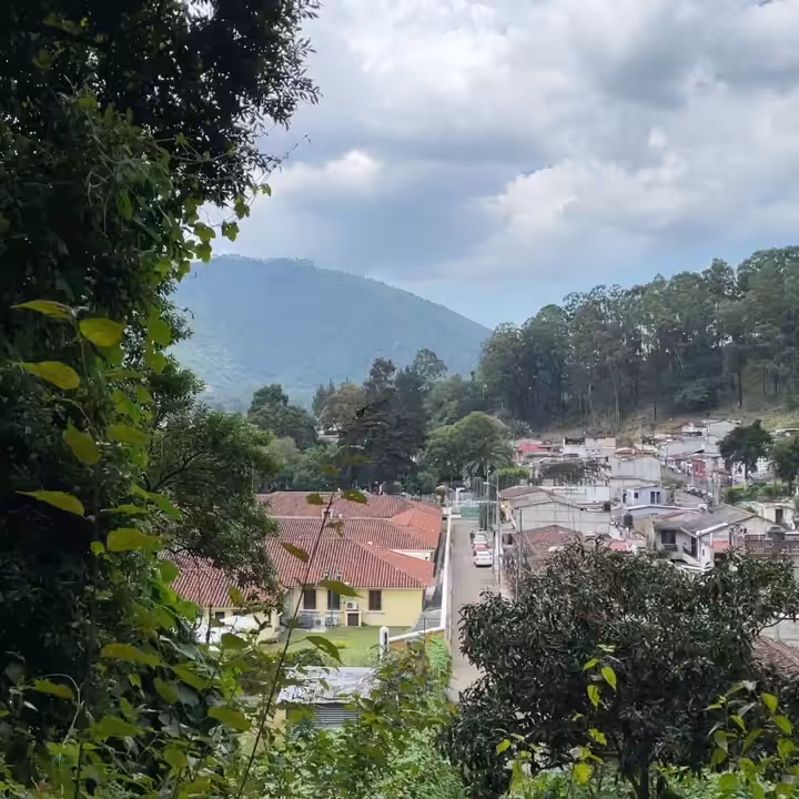 MOMENT#52(Quiet neighborhood)