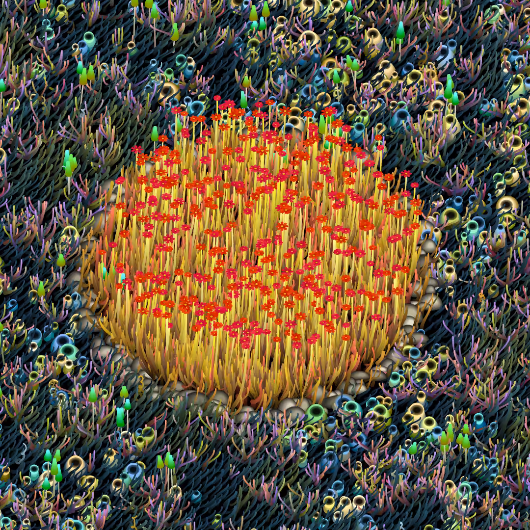 Noisy Gardens #115