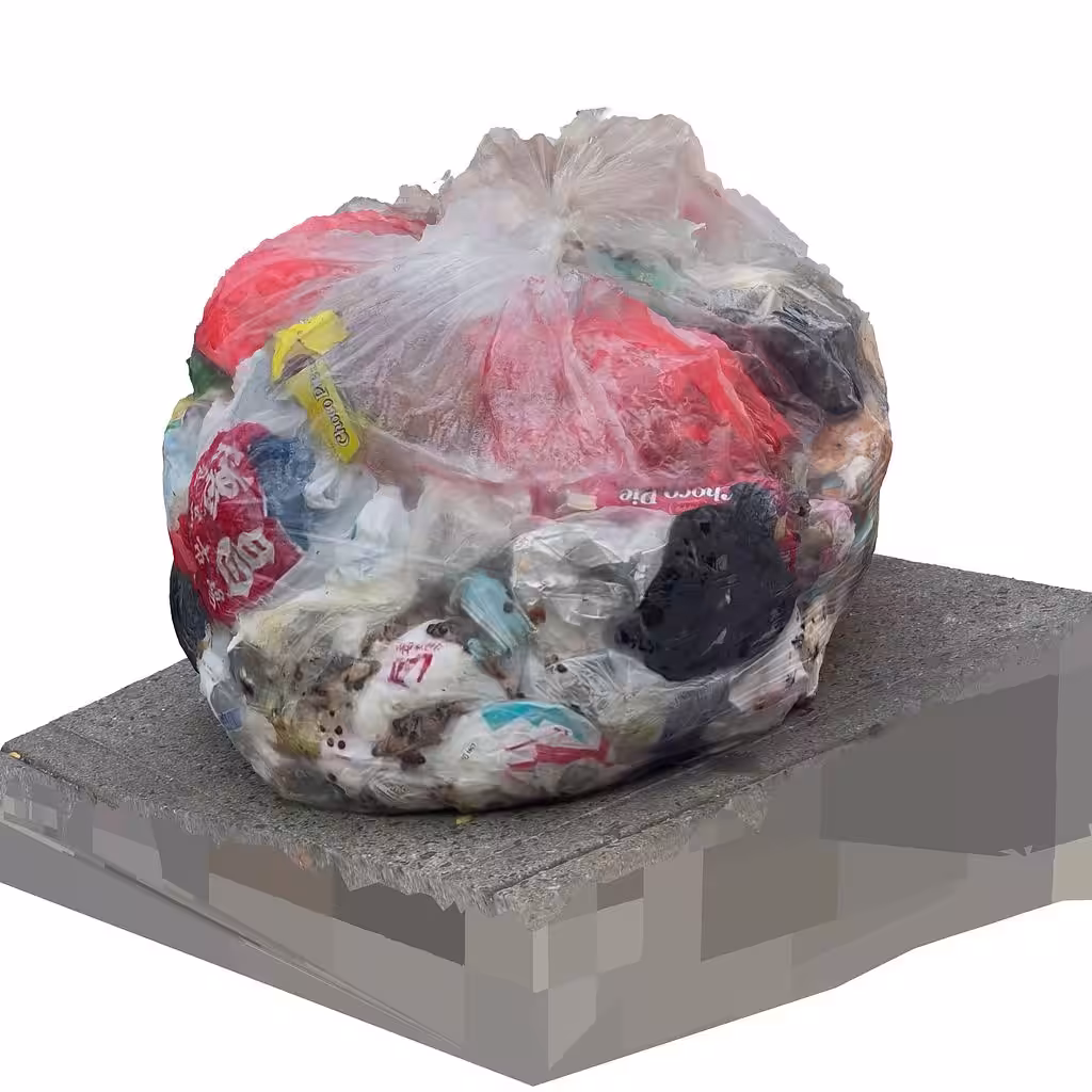 Trash Bag at East Broadway and Rutgers