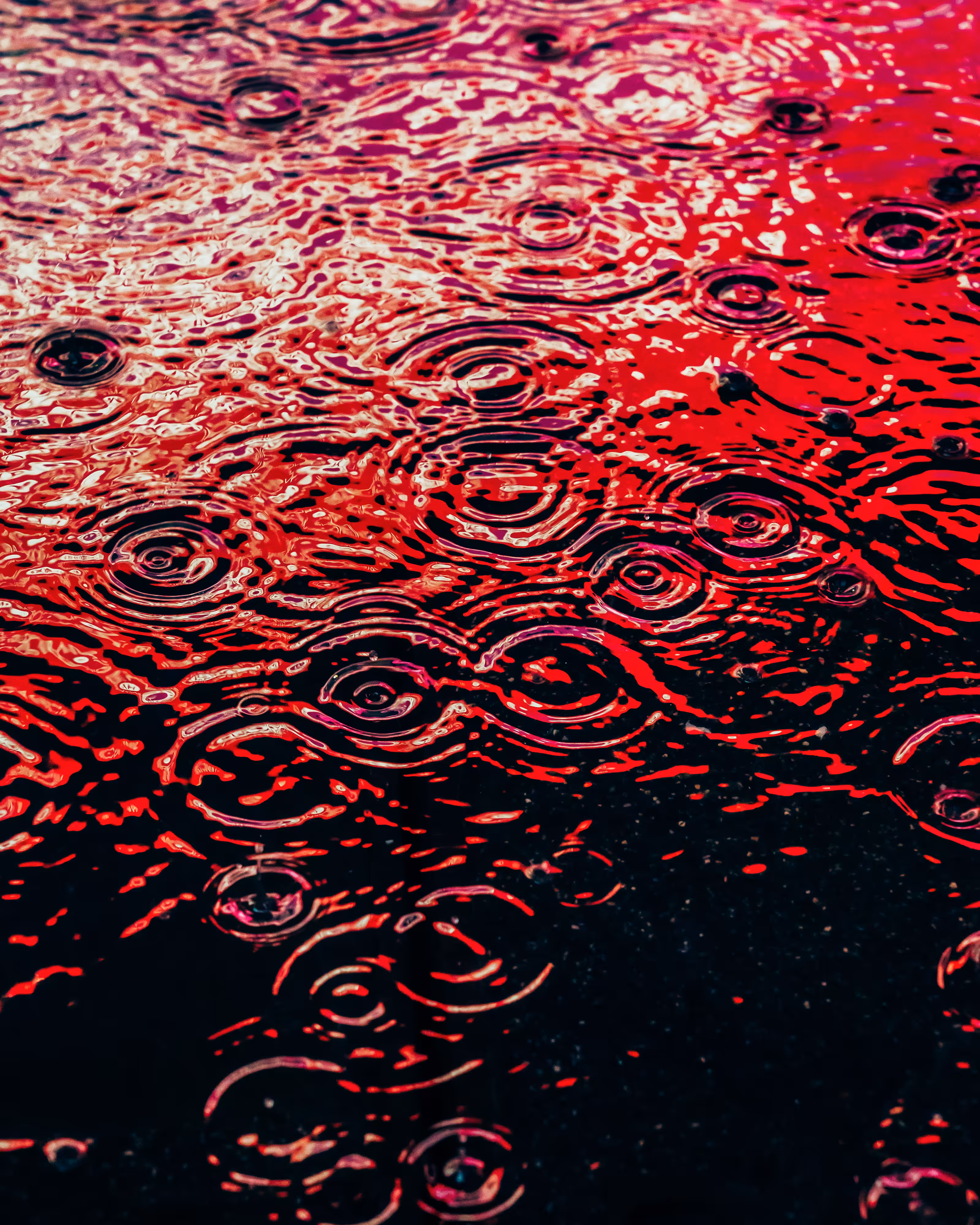DRIP #543