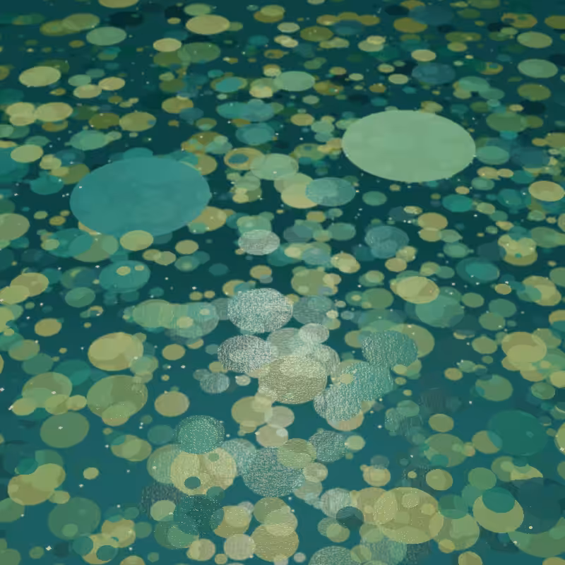 Pond #55