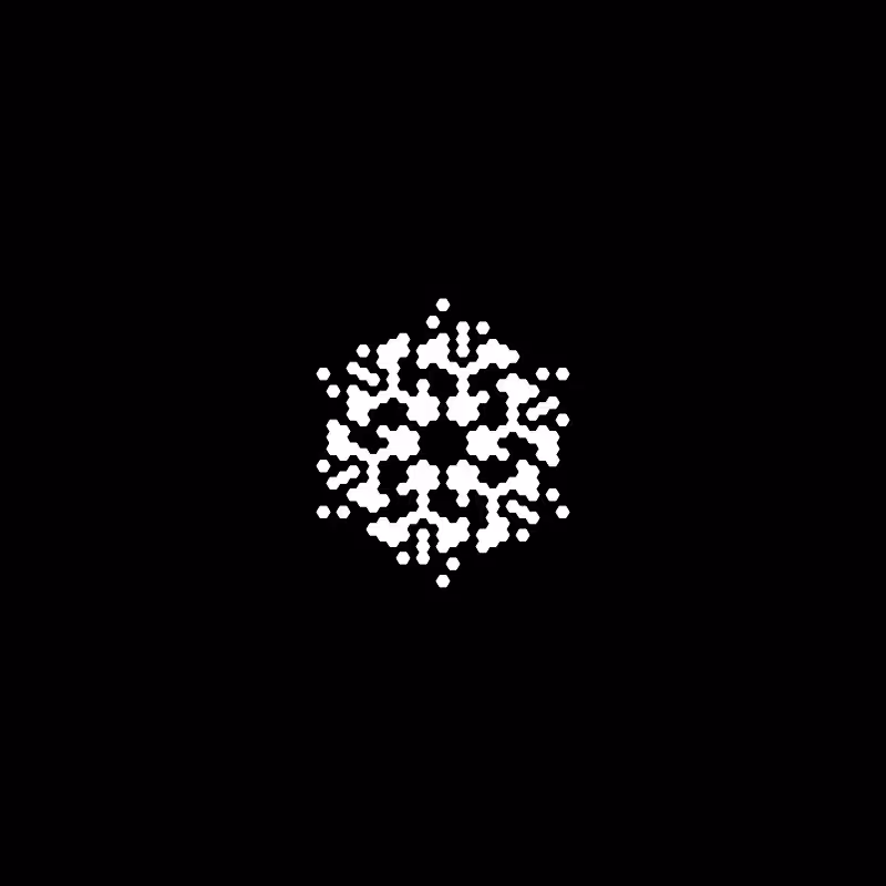 Snowflake #301