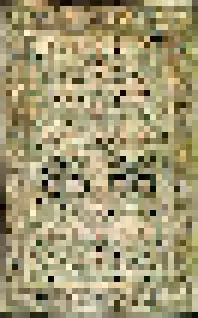 Rug #4