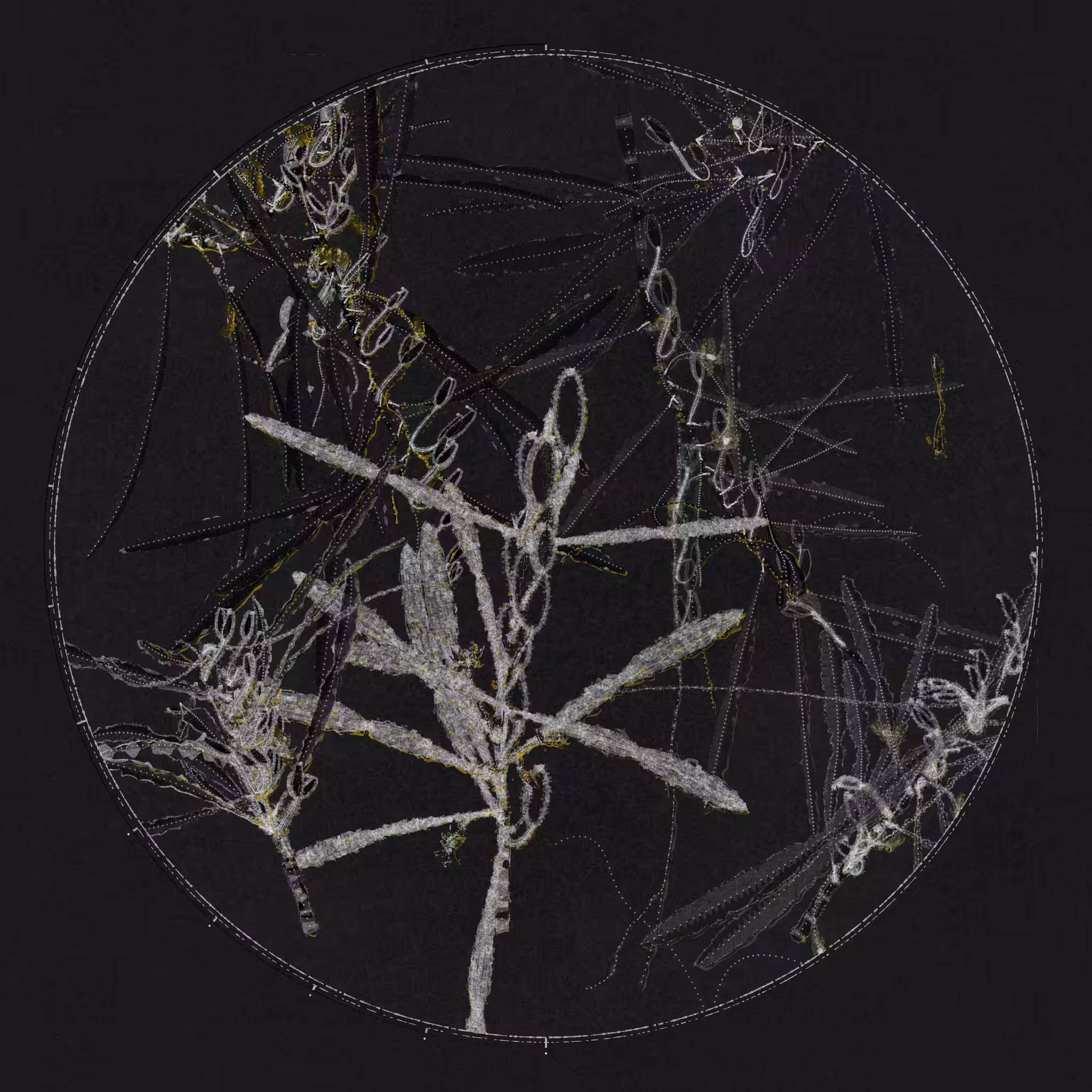 Polypaths | 植徑集 #670