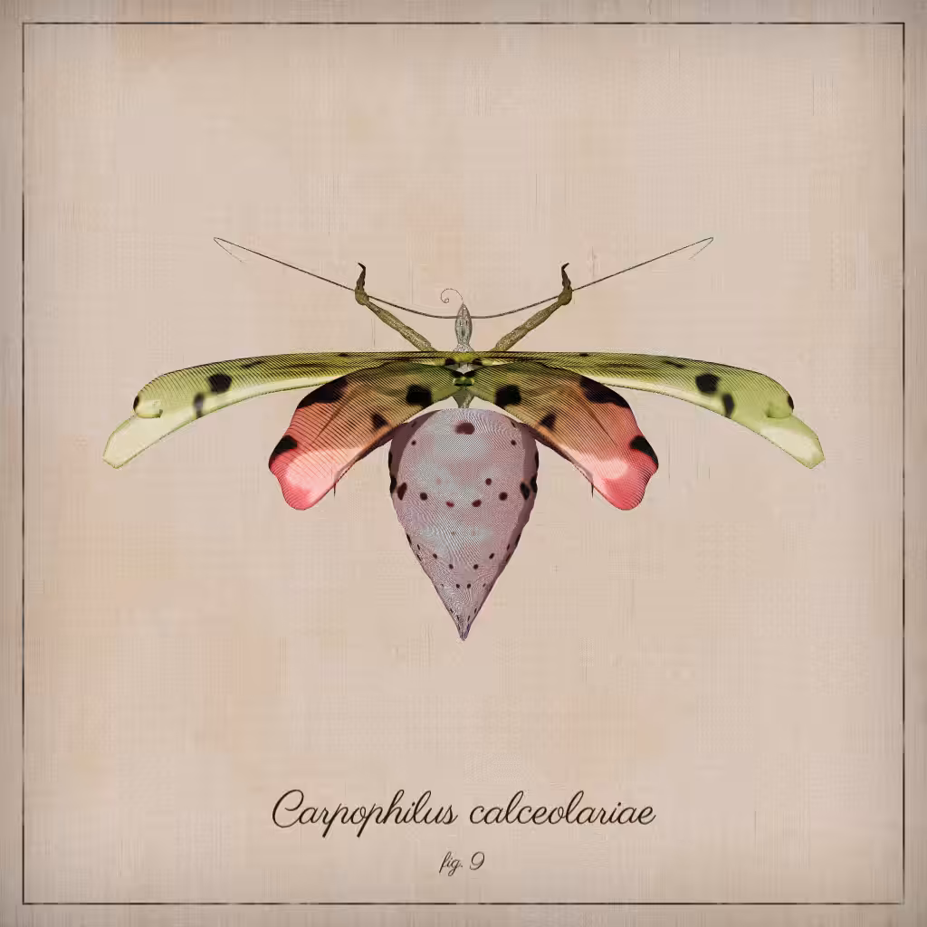 ProcGen Entomology #296