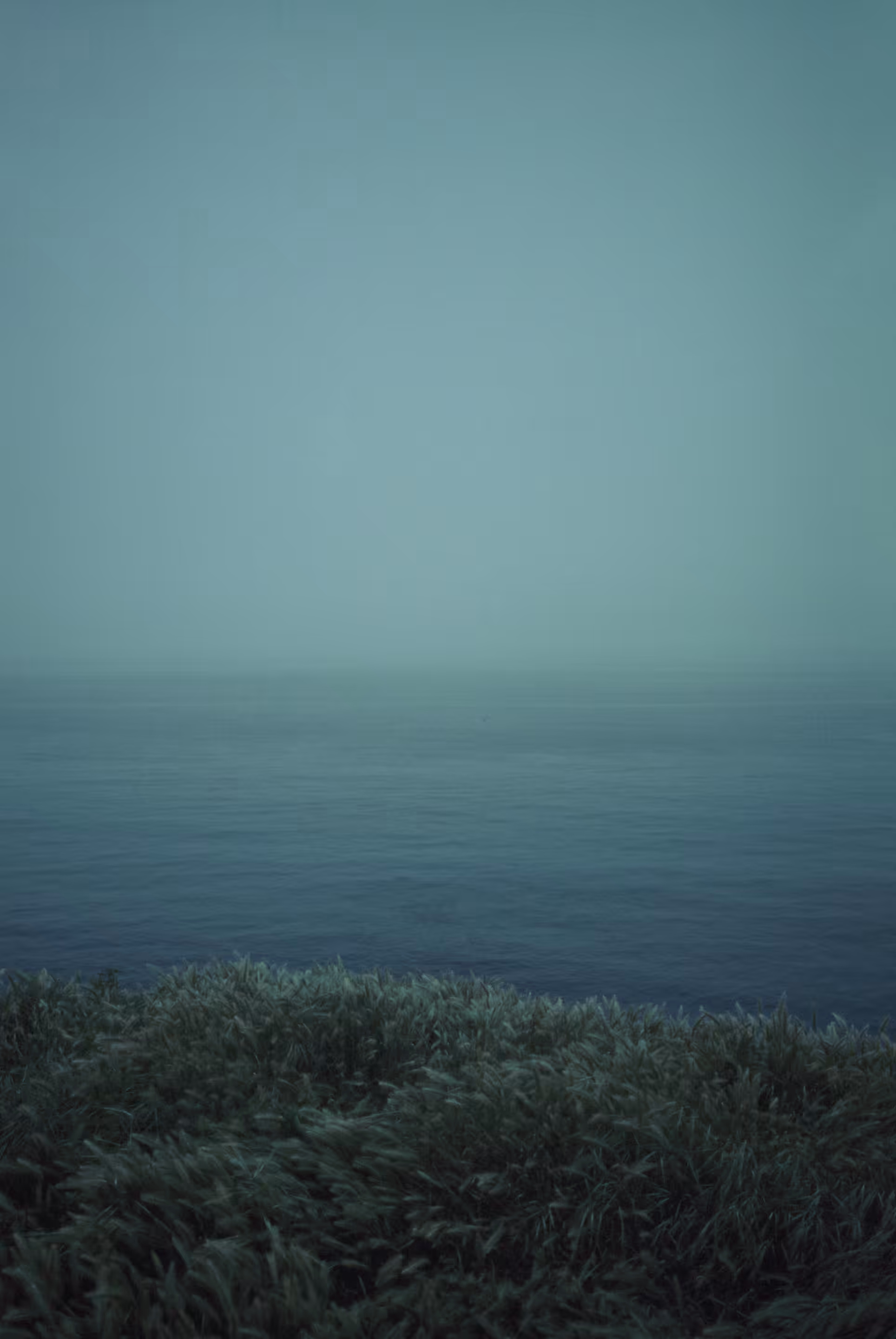 High Tide
