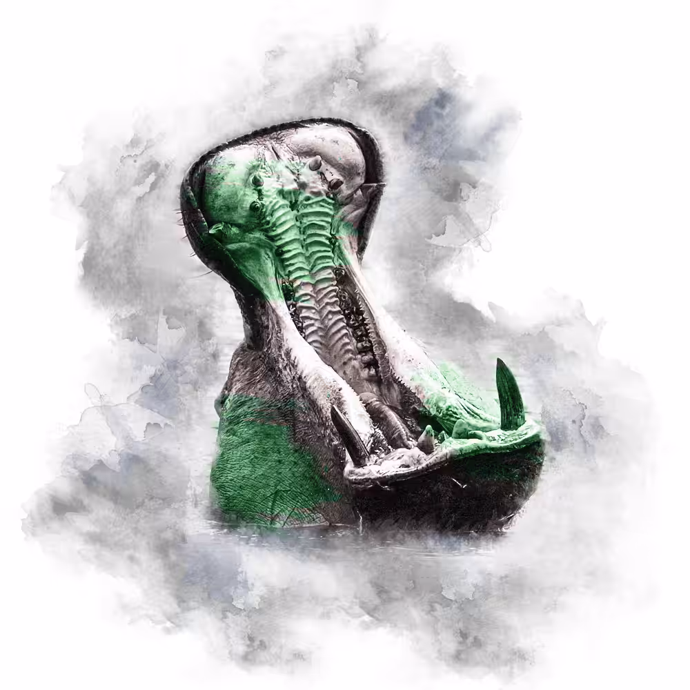 GREEN SERIES - HIPPO