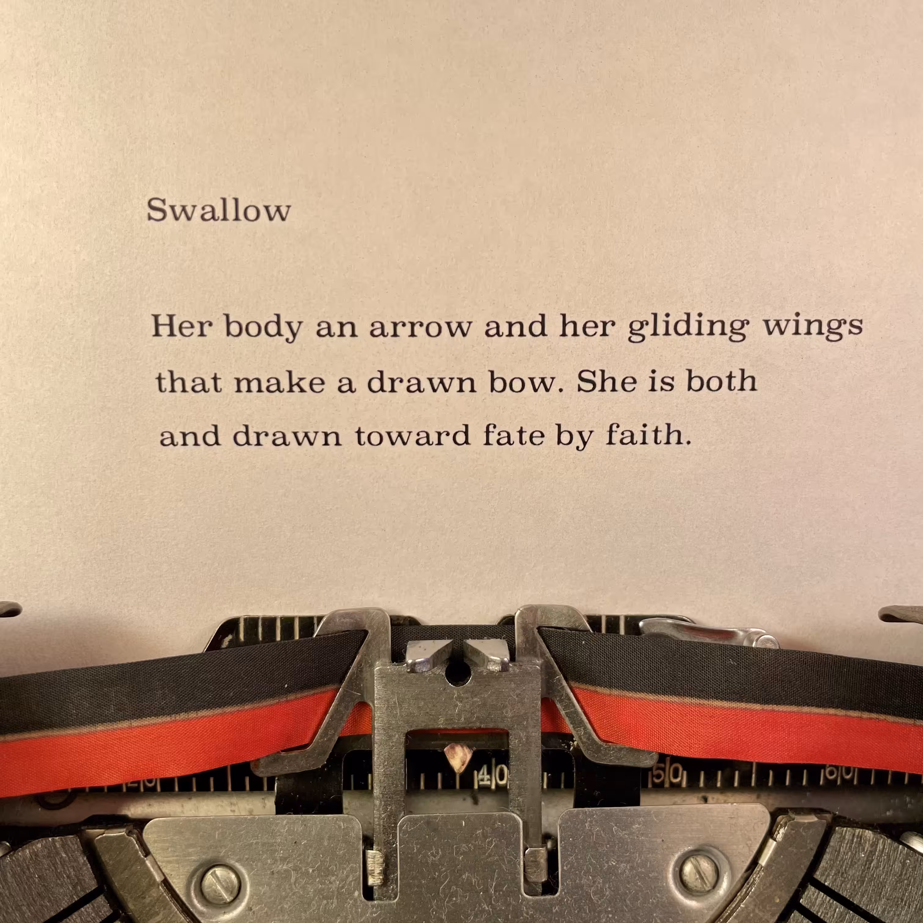 Swallow