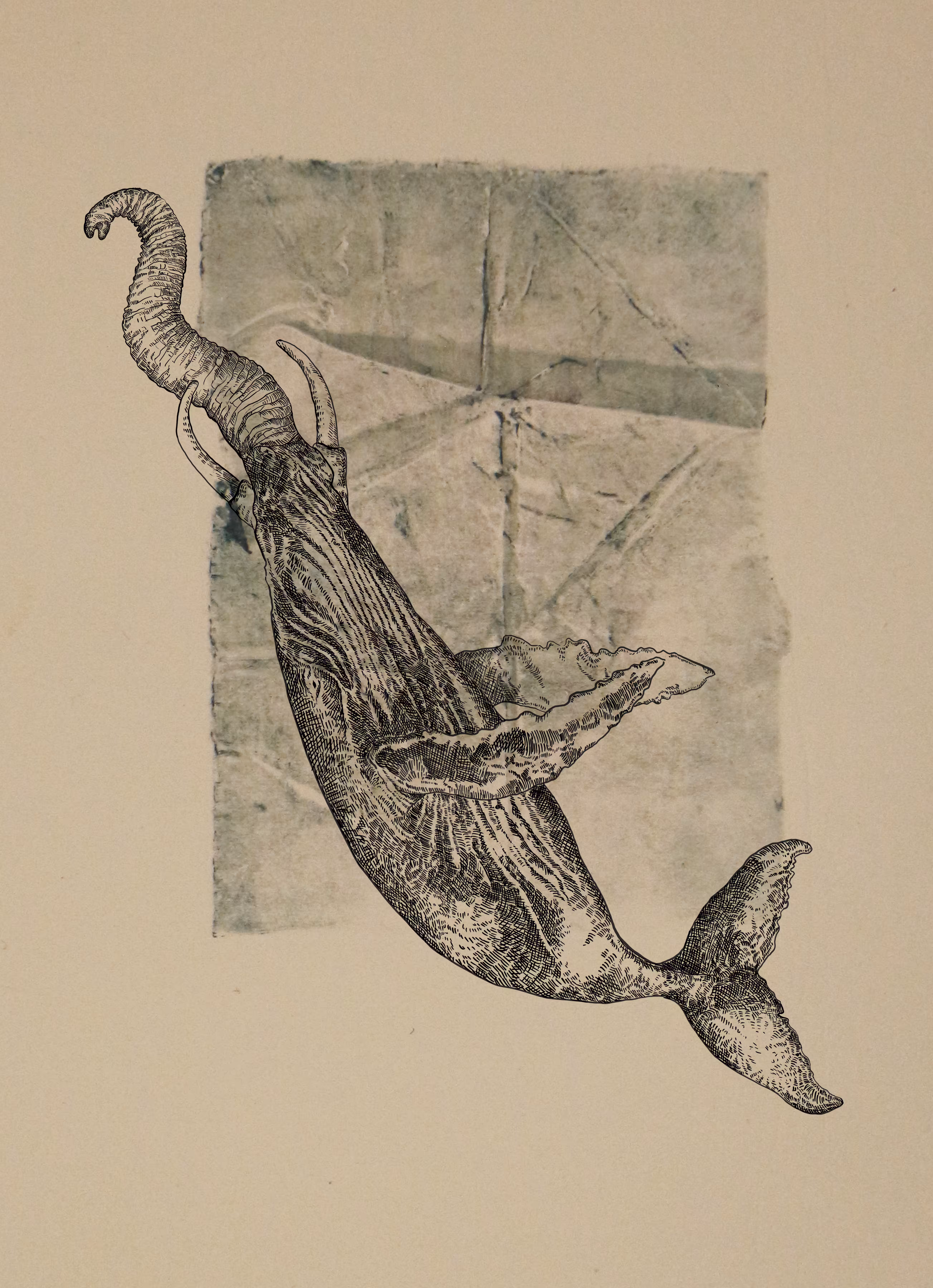 ELEWHALE