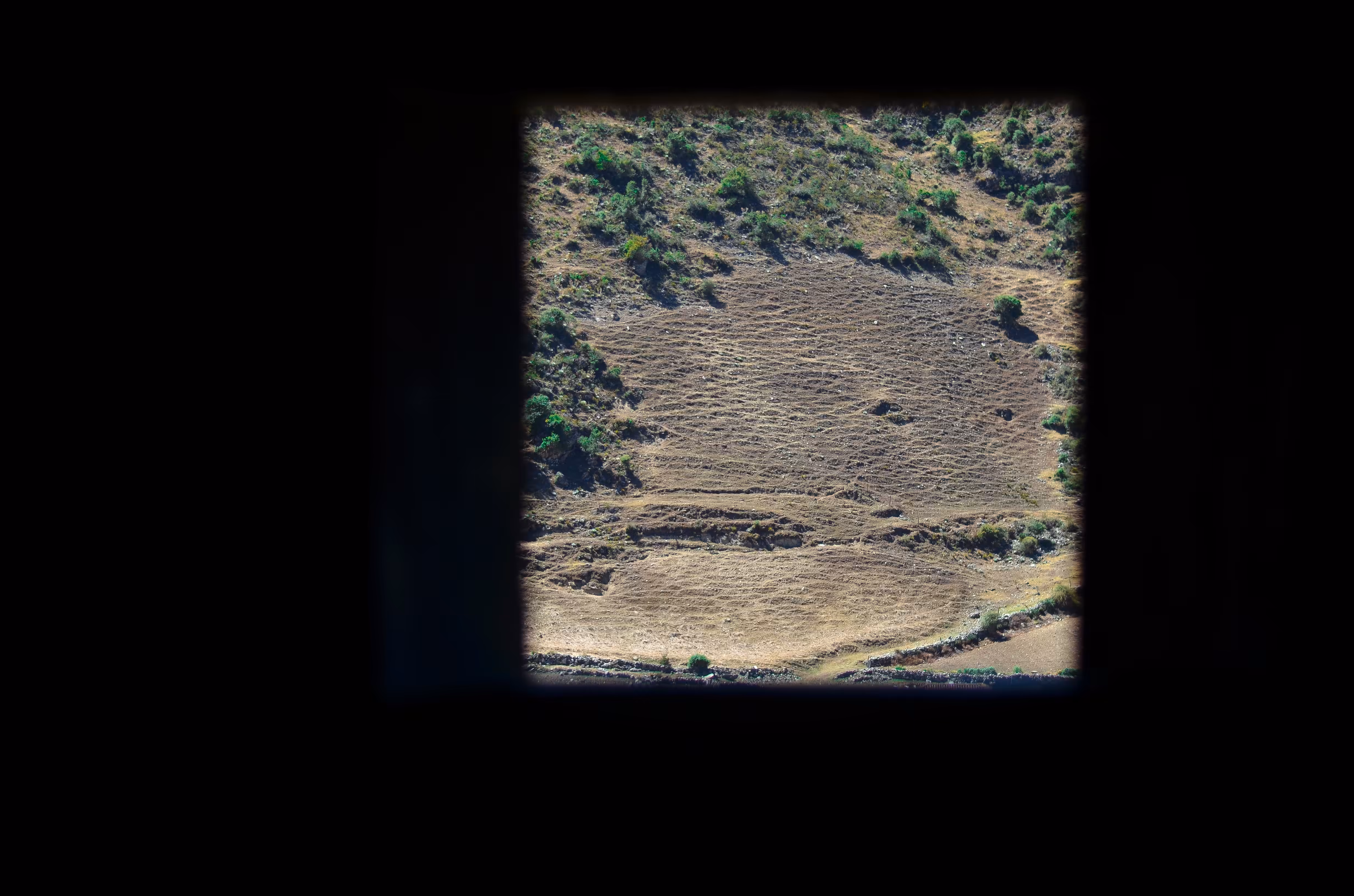 The window of the house