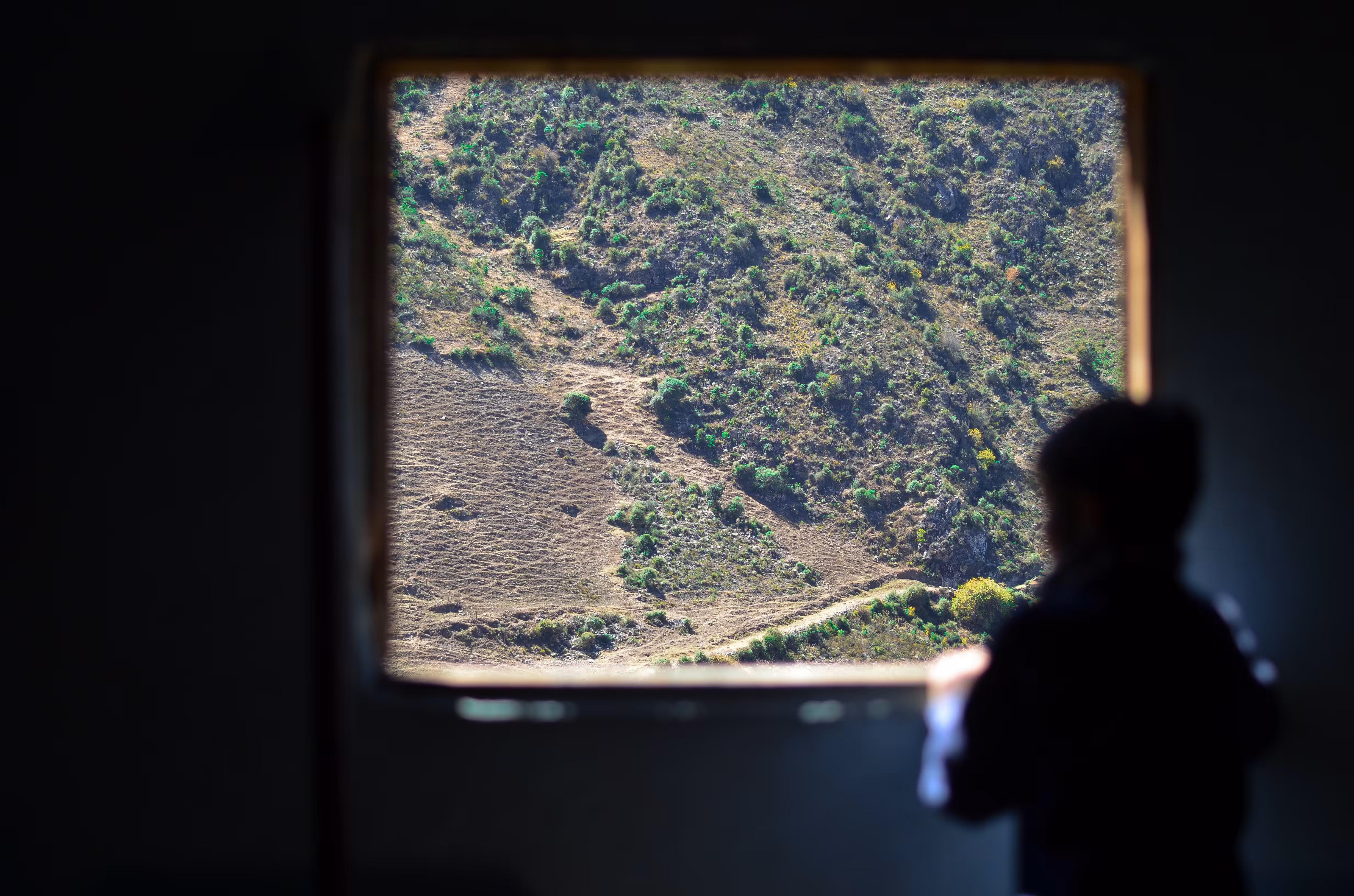 The little boy at the window of the house