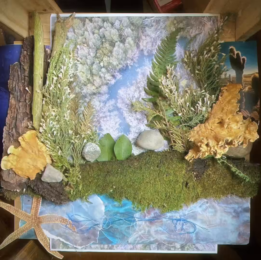 stopmotion is the right motion
