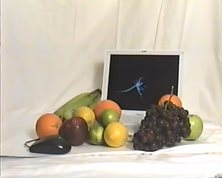 Still Life (iBook G4 with Fruit and USB Mouse), 2015