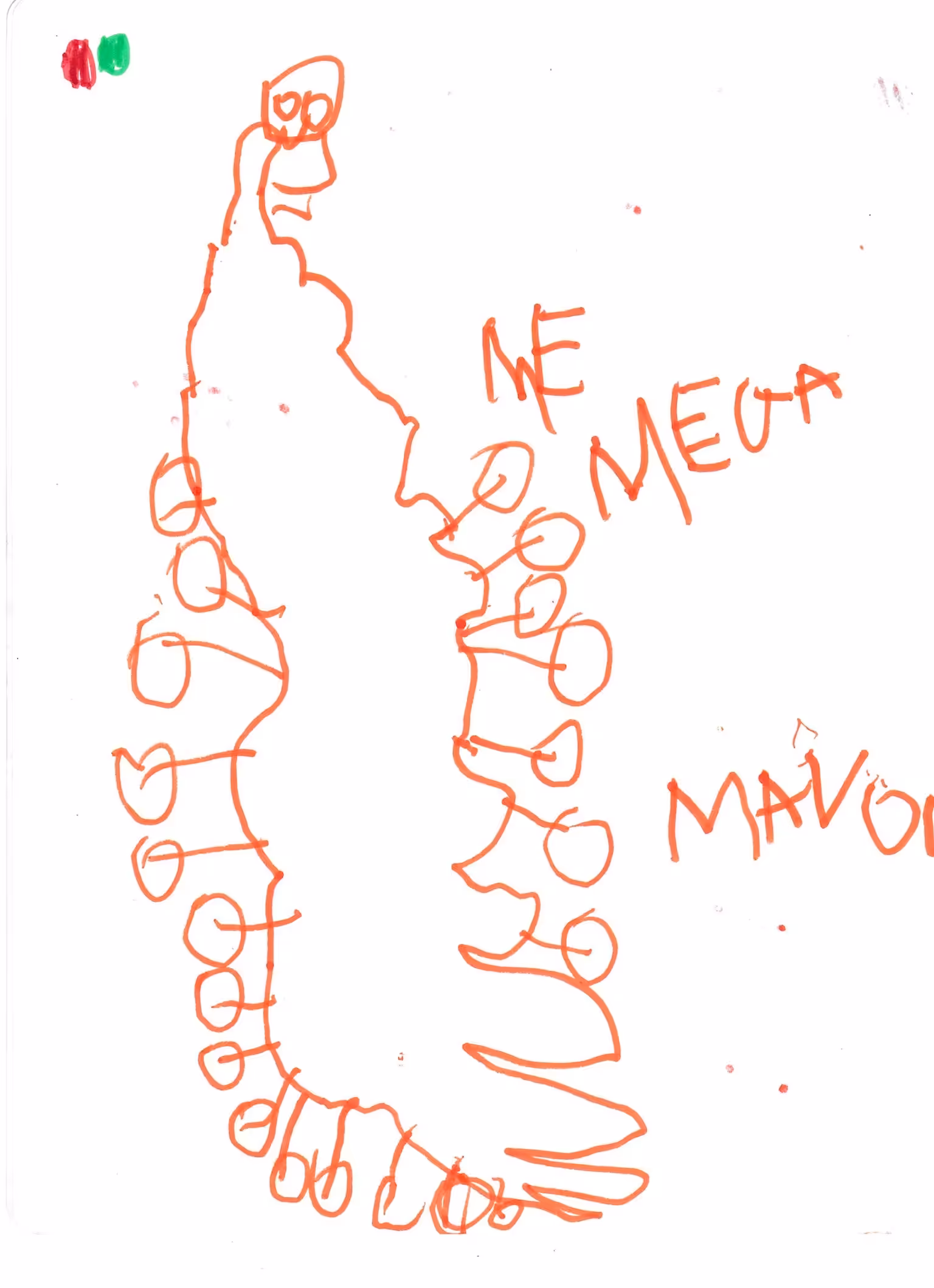 Mega Mavou