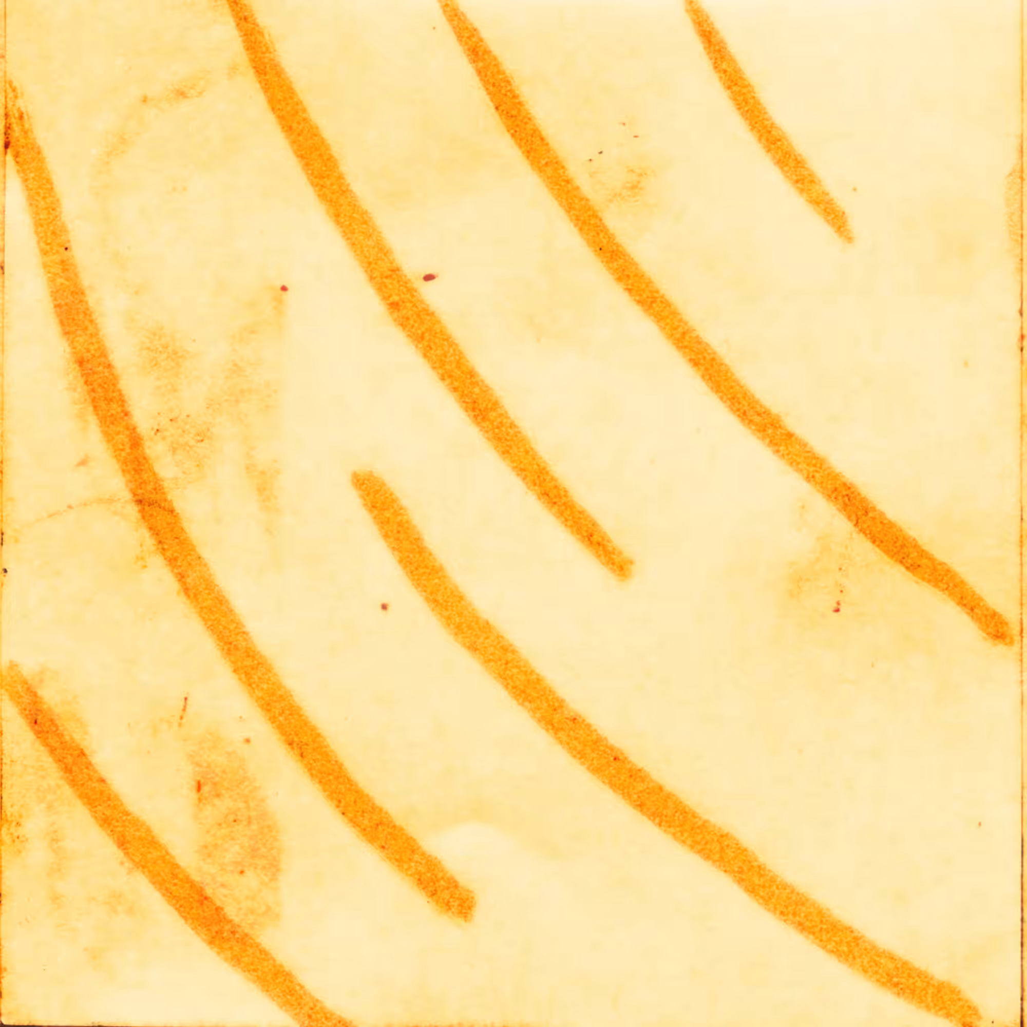Postixxx - #023