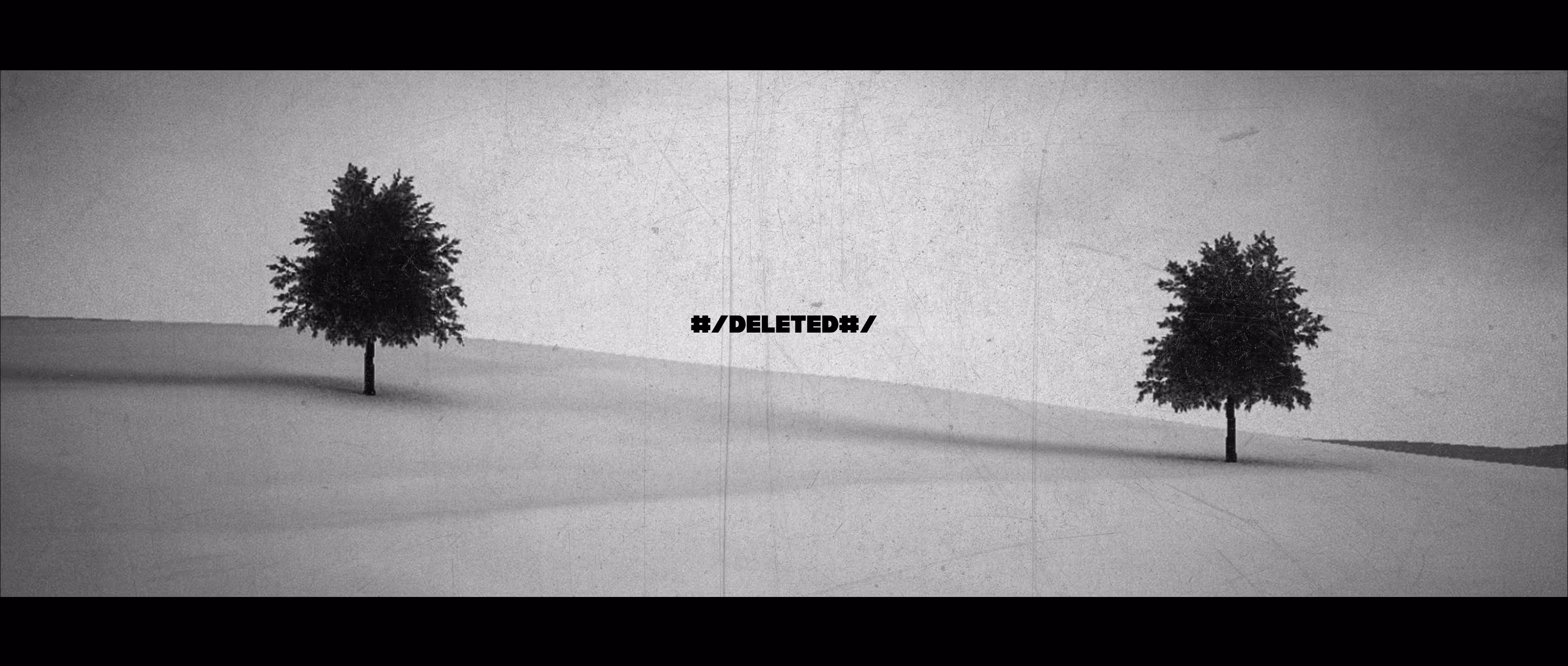 #/DELETED#/_04