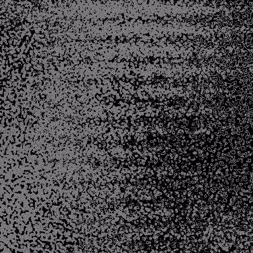 Noise #83 