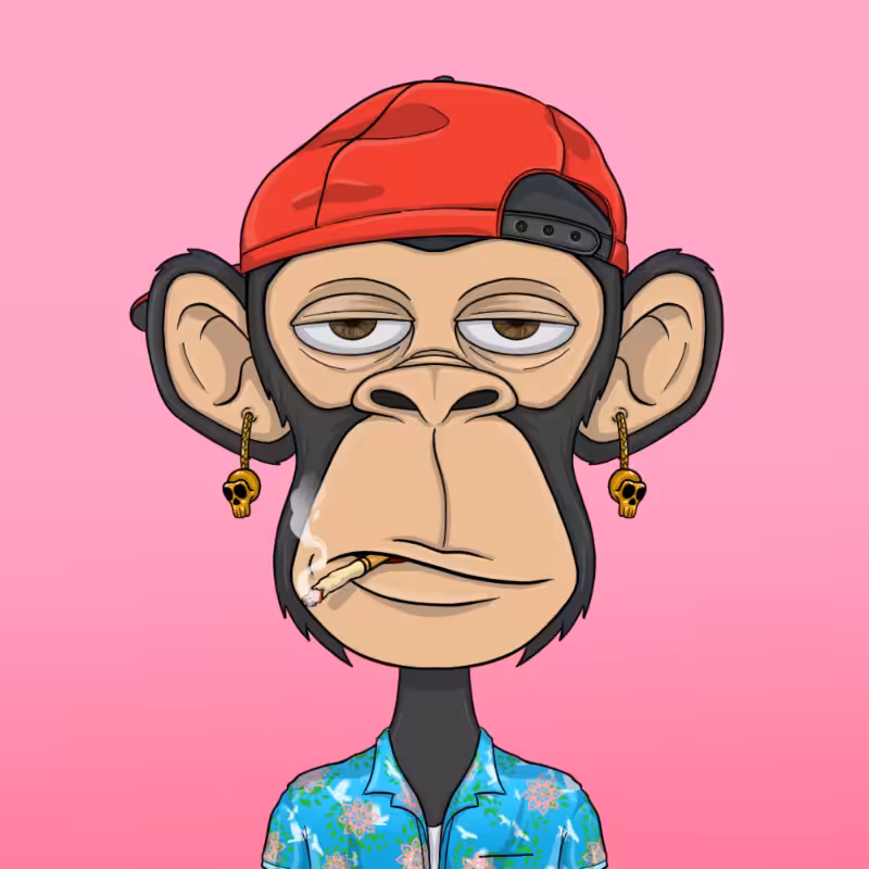 chimpantez #949