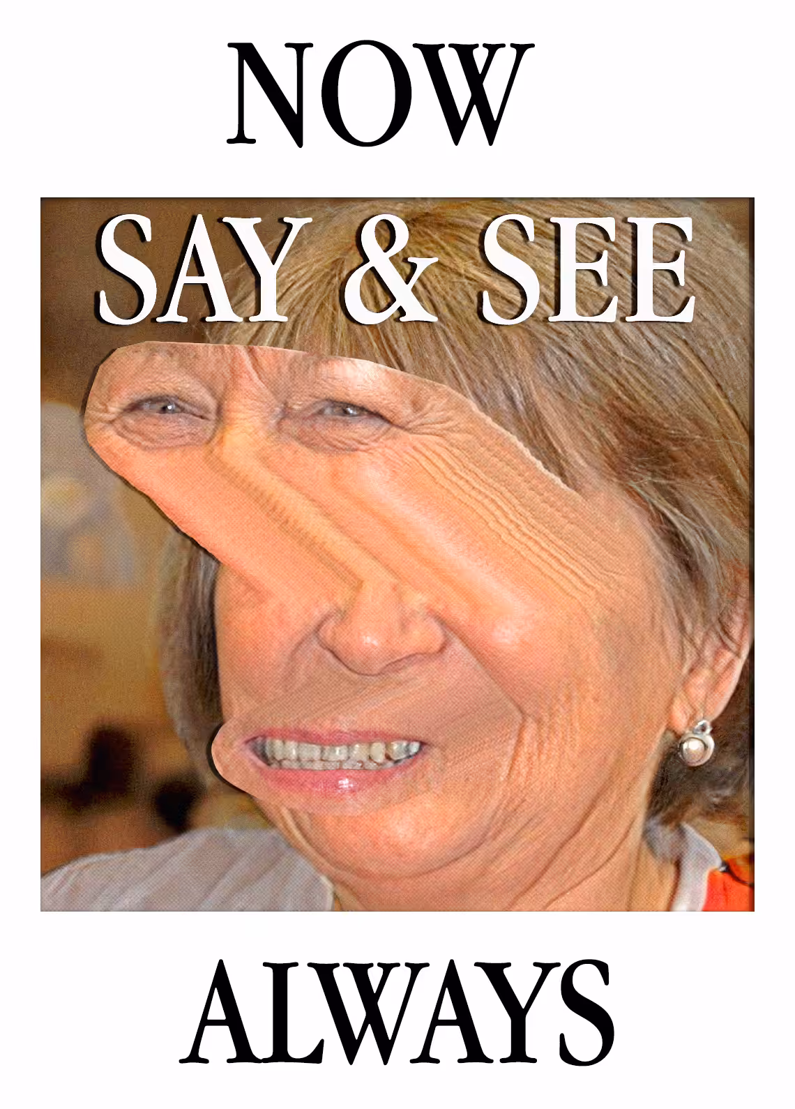 Say & See