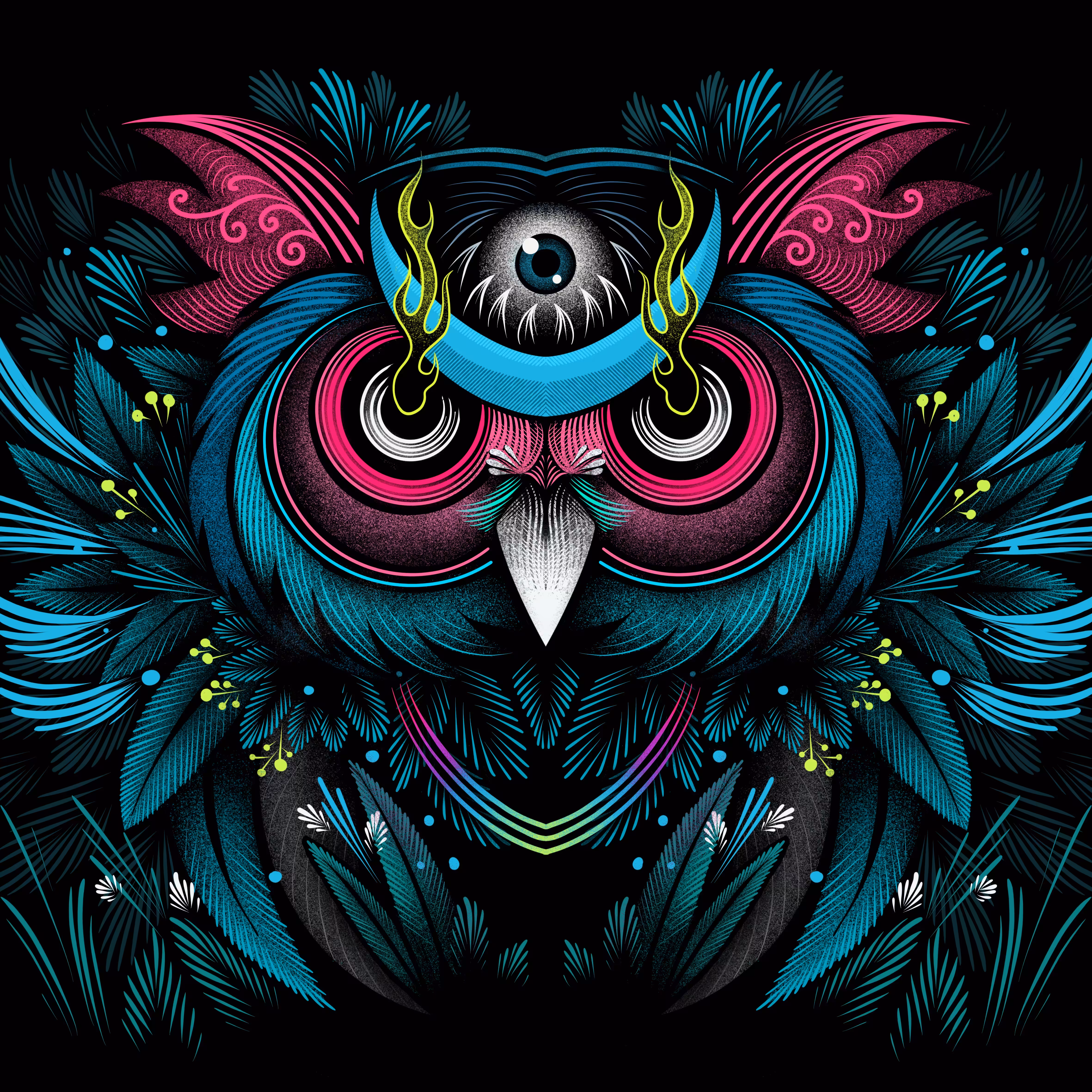 Owl