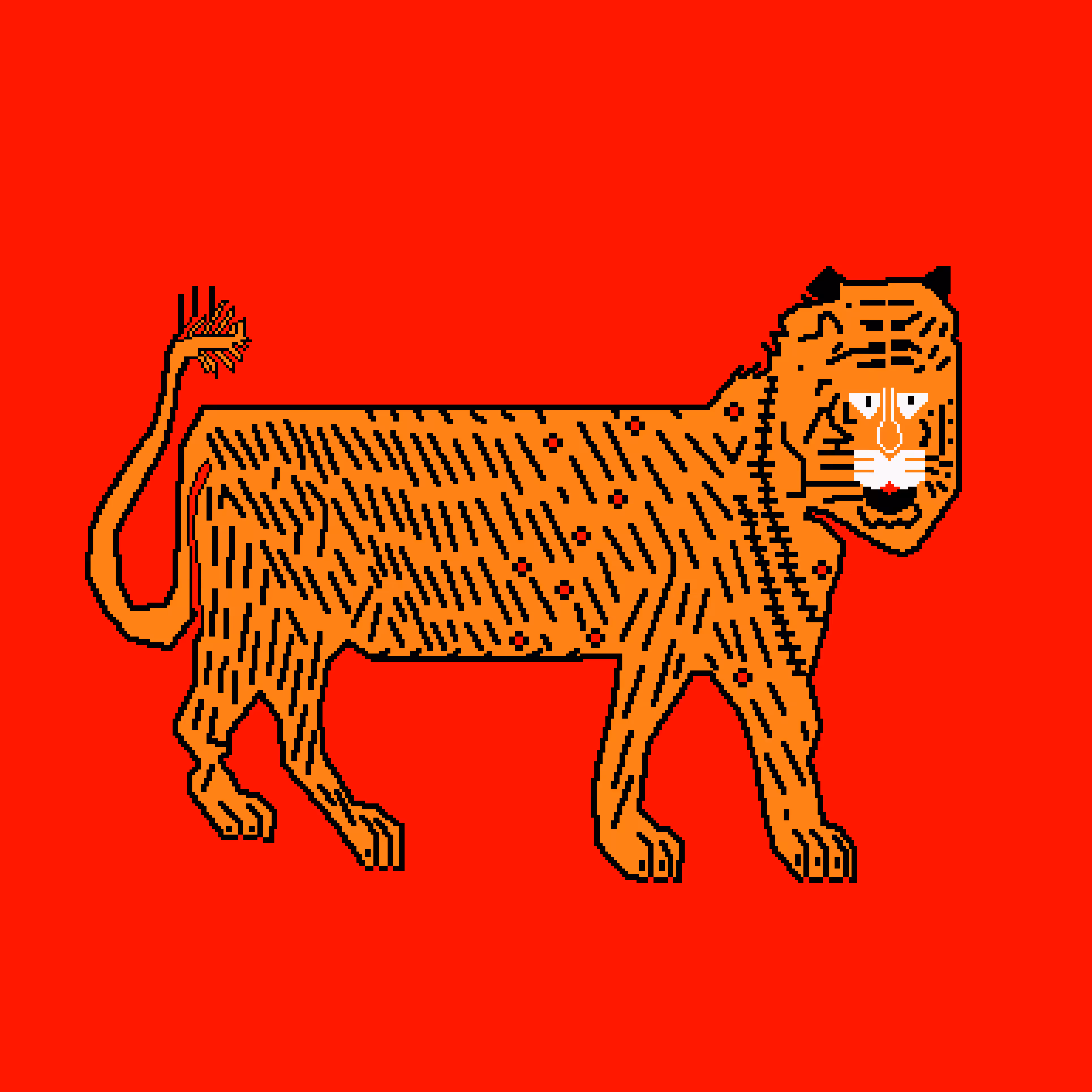 Lion Rug #5