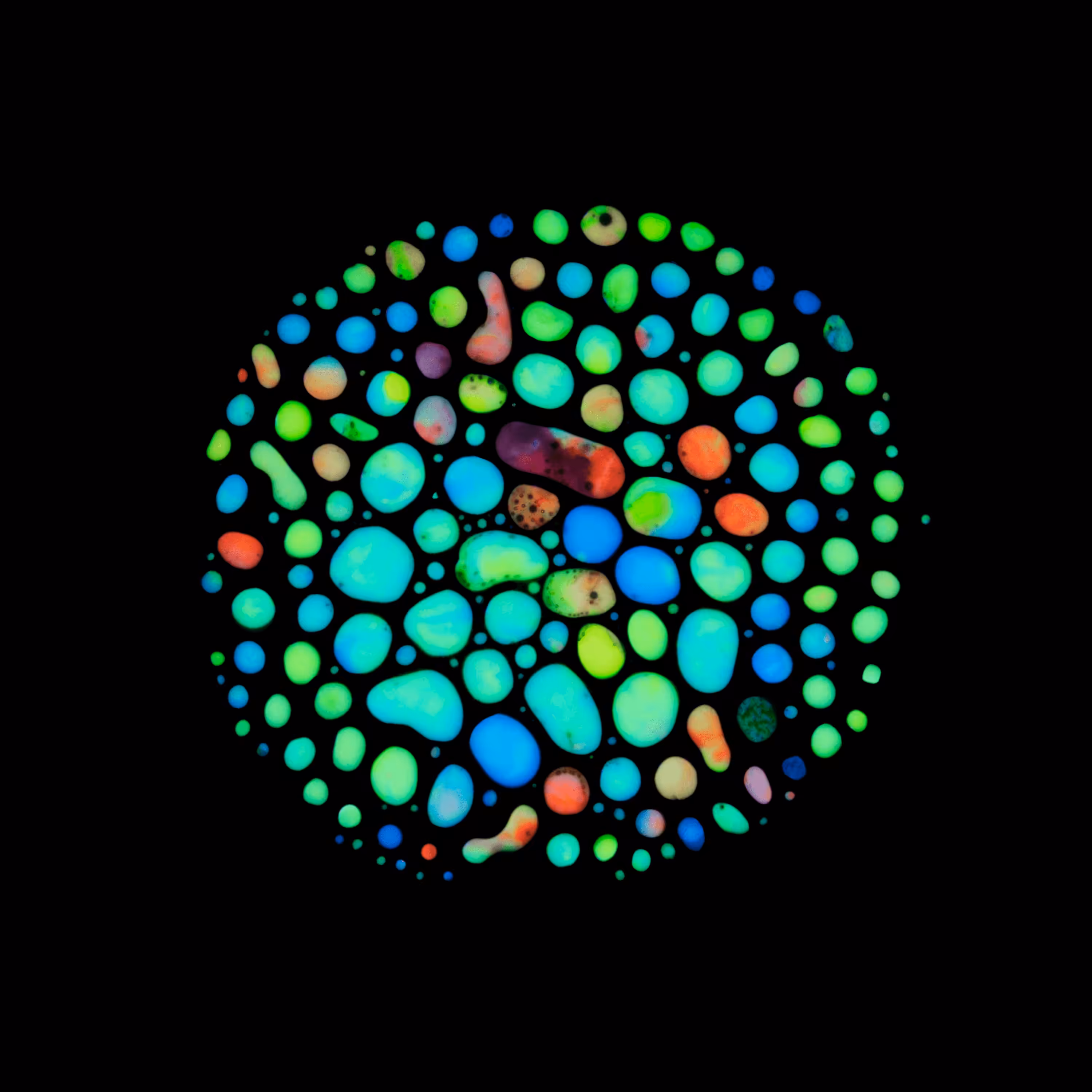 Haematopoiesis #26