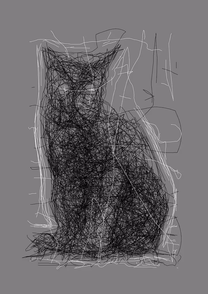 Another black cat