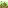 Forest Trees #3