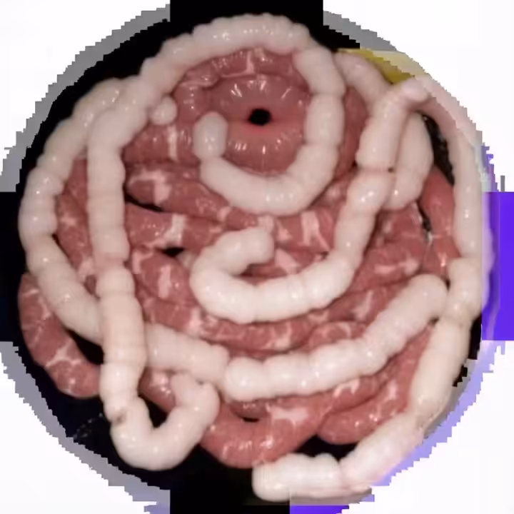 3305345402024383094792