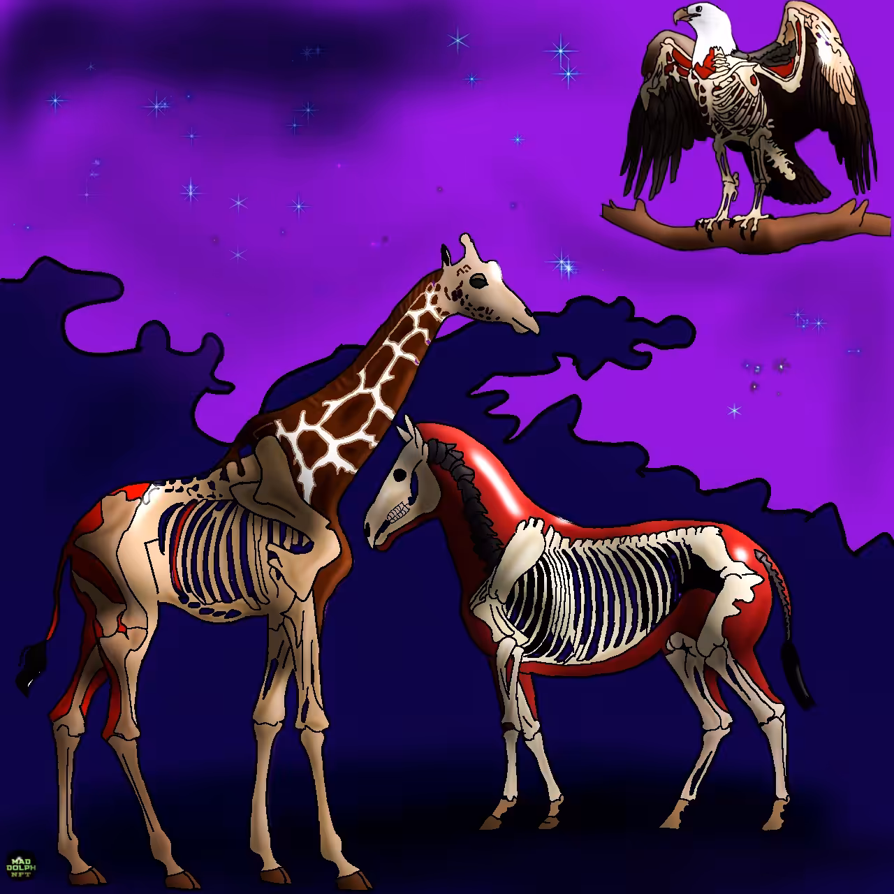 X-Ray Safari 