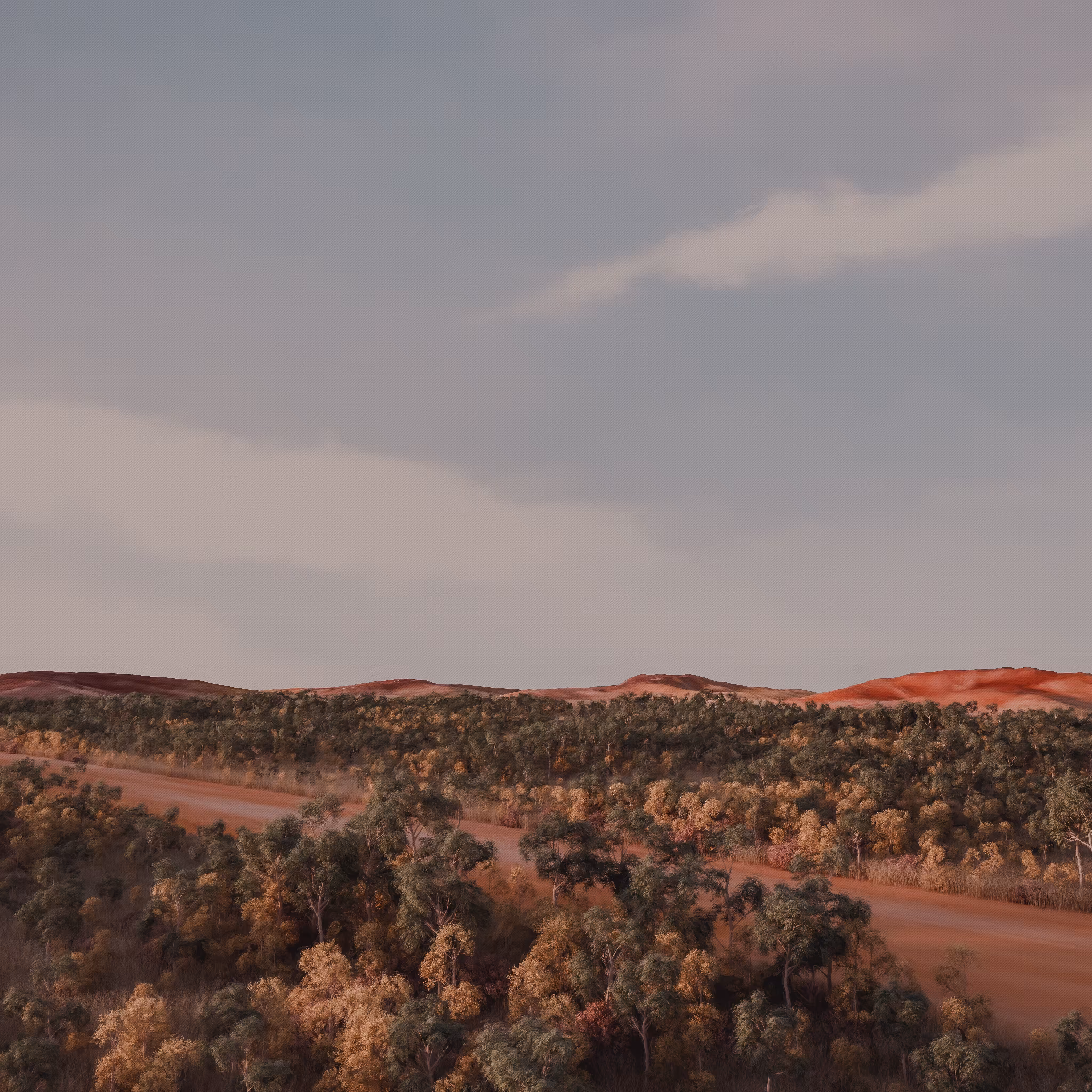the red centre #73/80
