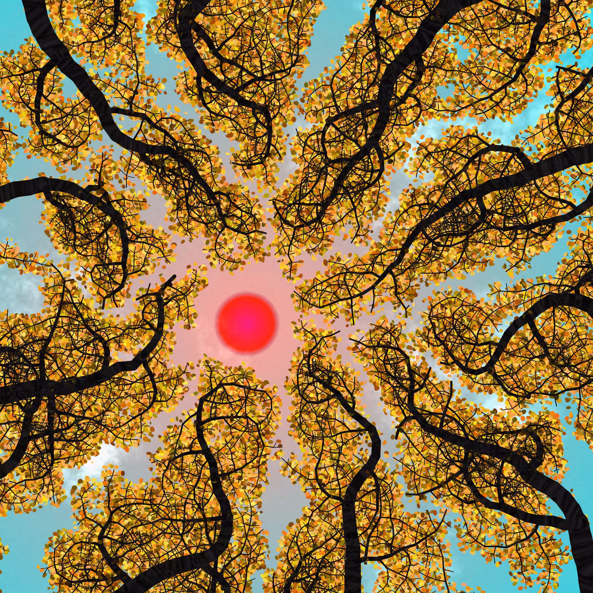 Tree Skyness #87
