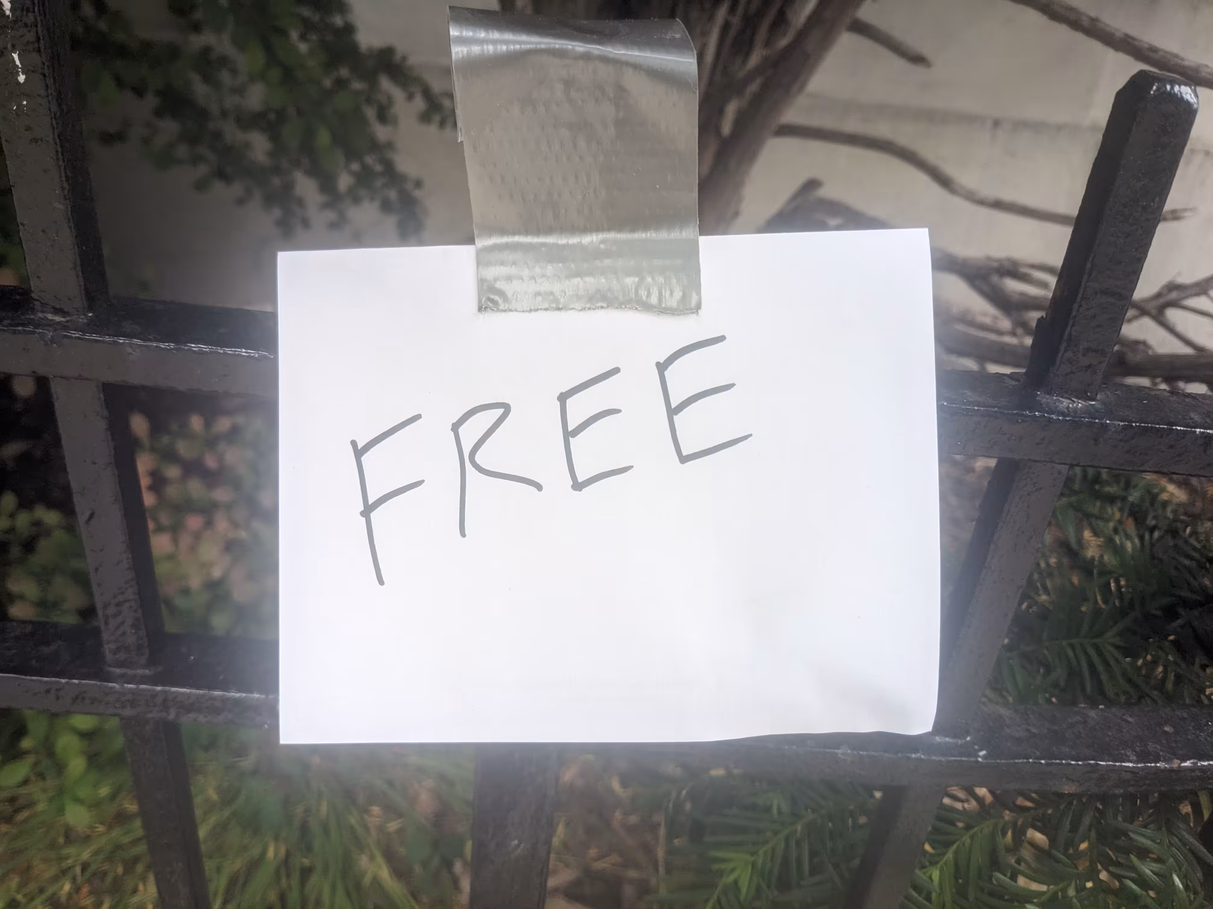 Free31 #0