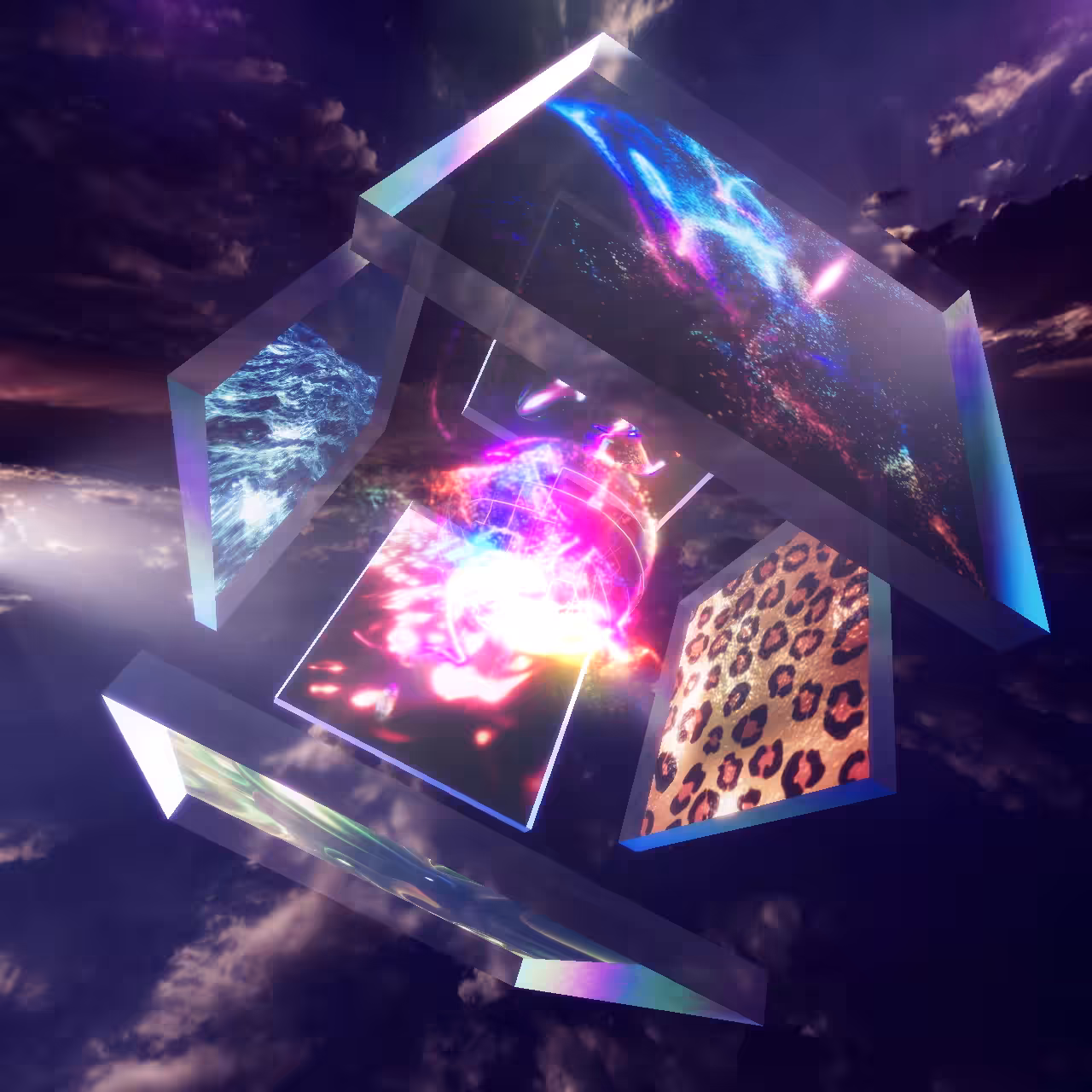 Unity & Evolution : Evolution
