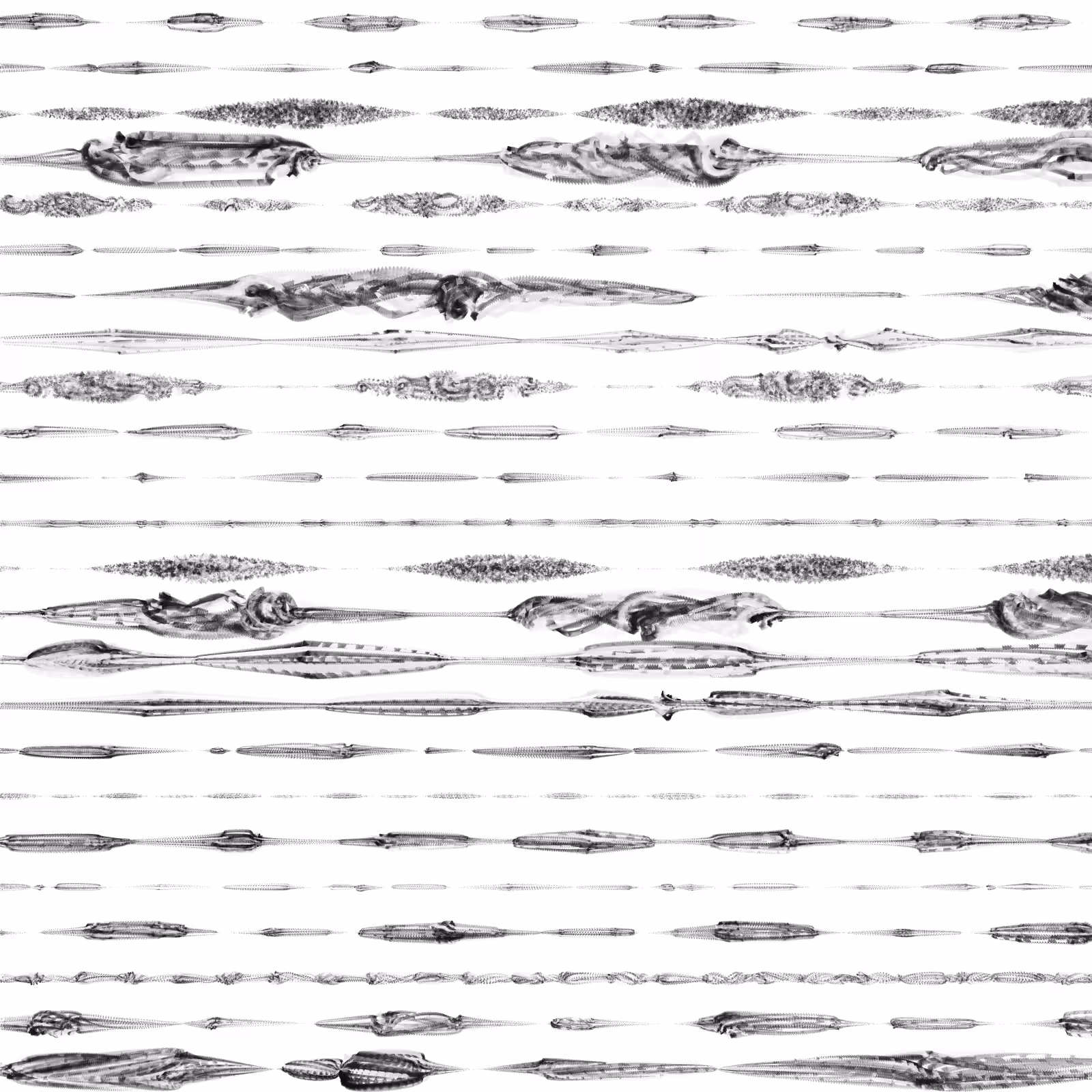 Seed 007