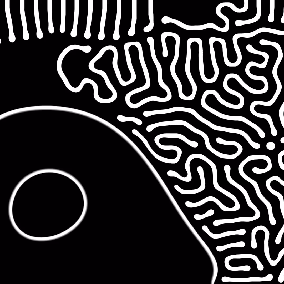 DANCE YOUR IMAGINATION #2/3