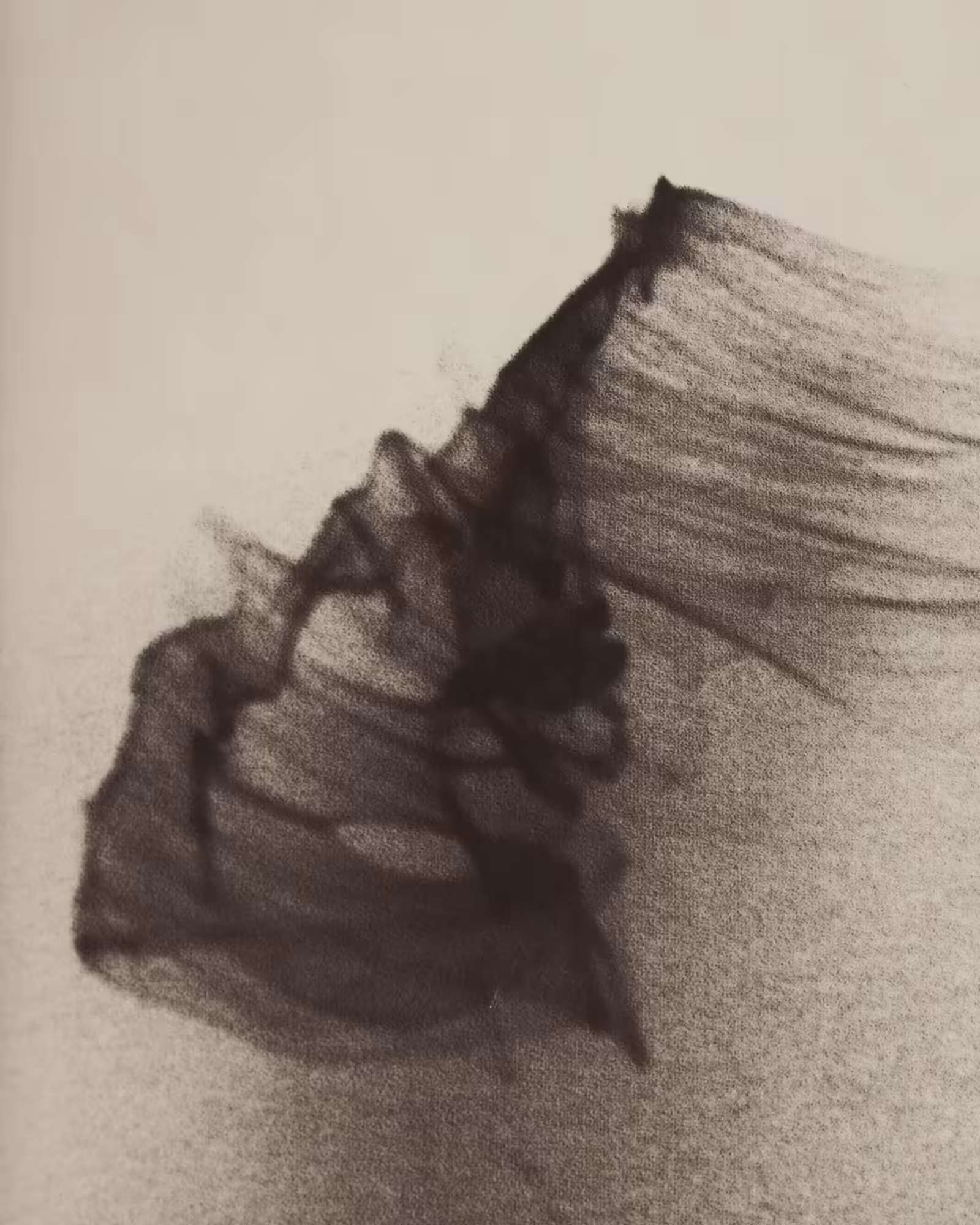 Mingled with Voids // 48-2