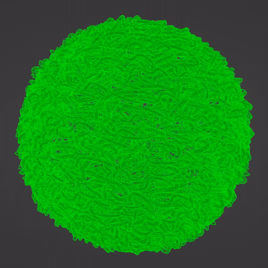 seed g