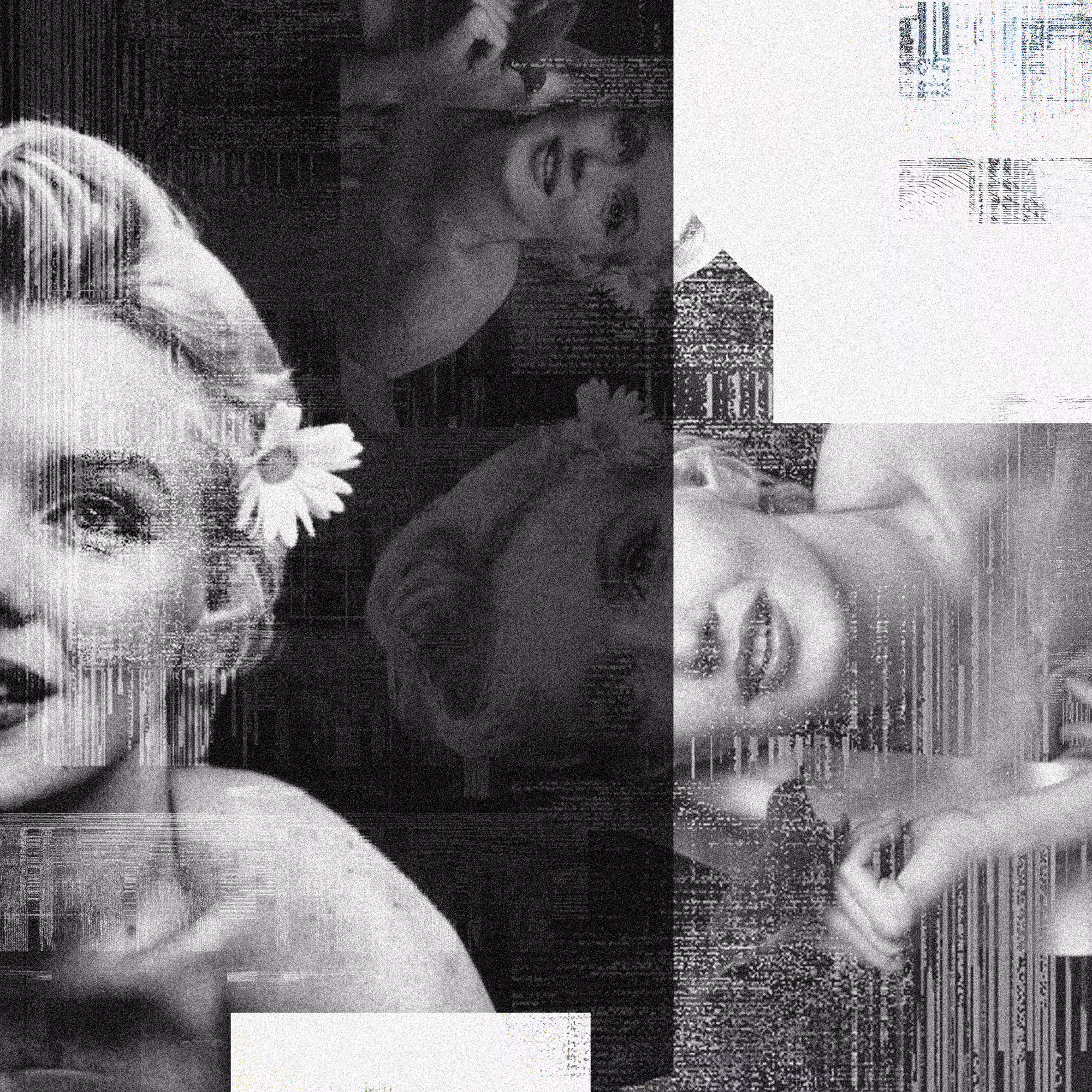 sectr_one 55