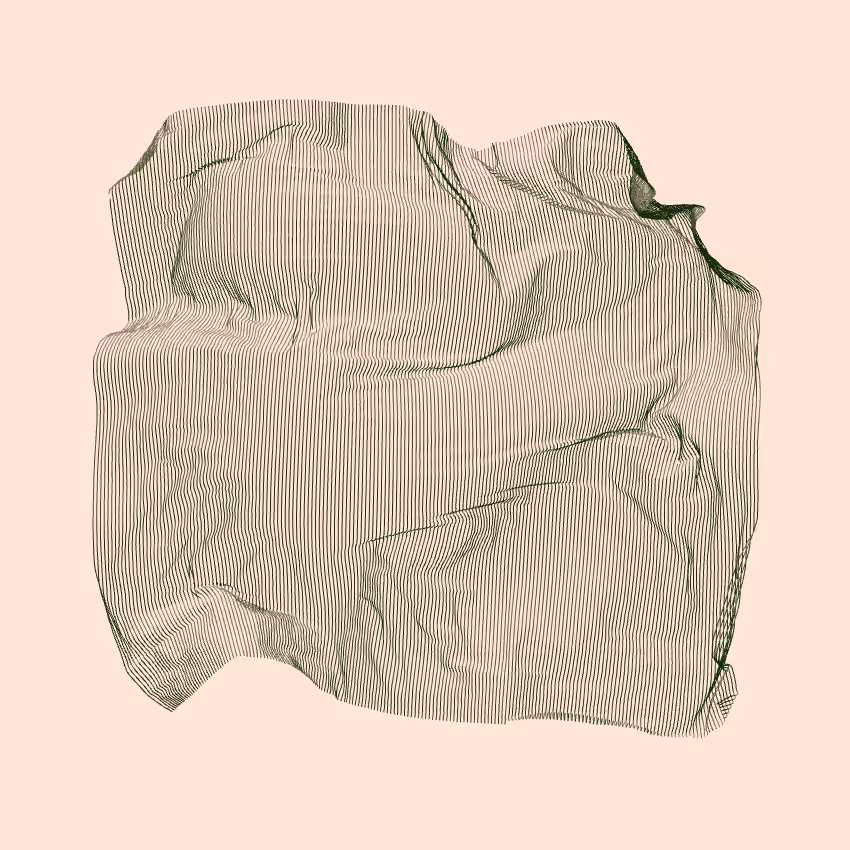 Fibril #314