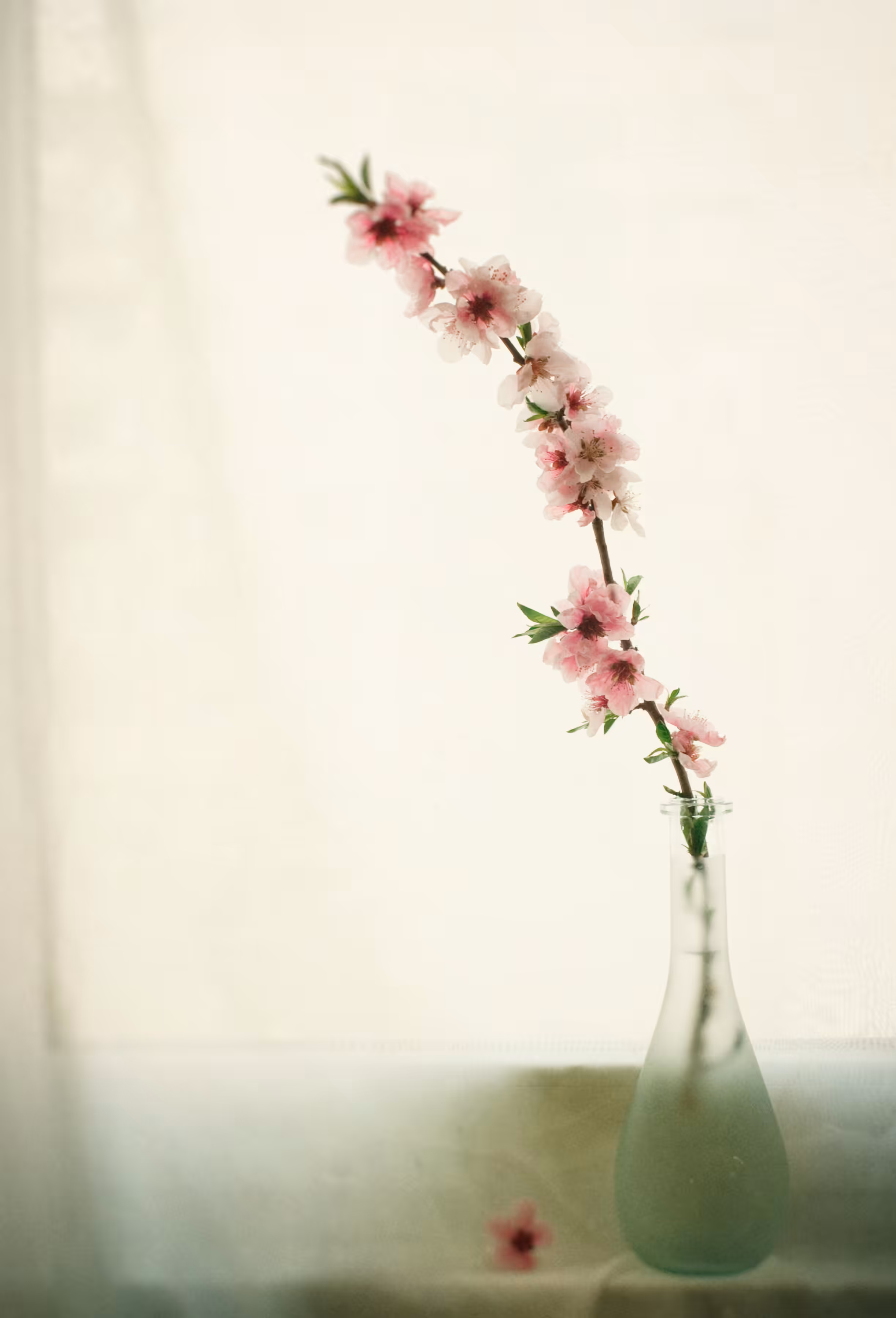 Evenescent Feelings