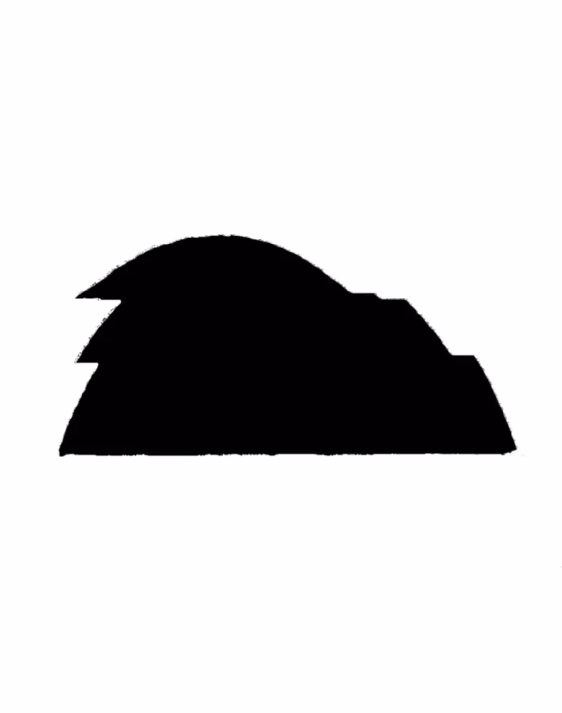 black scarabaeus fragmentation