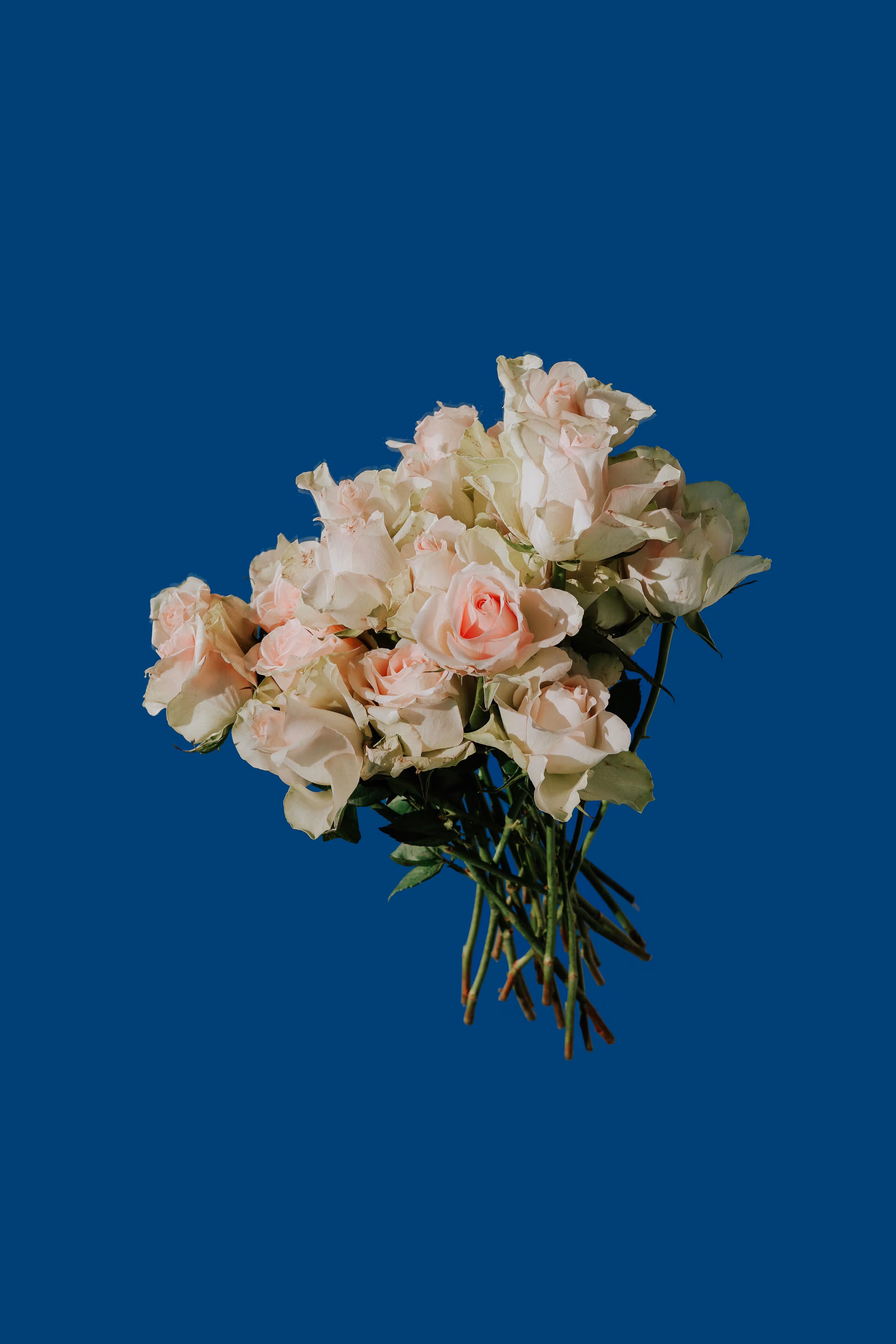 Love Grows 
