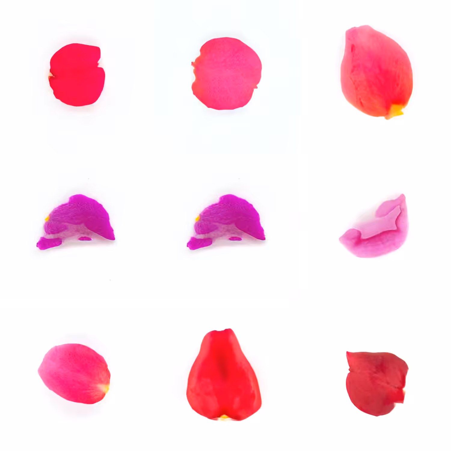 Infinite Petals 3x3#2764